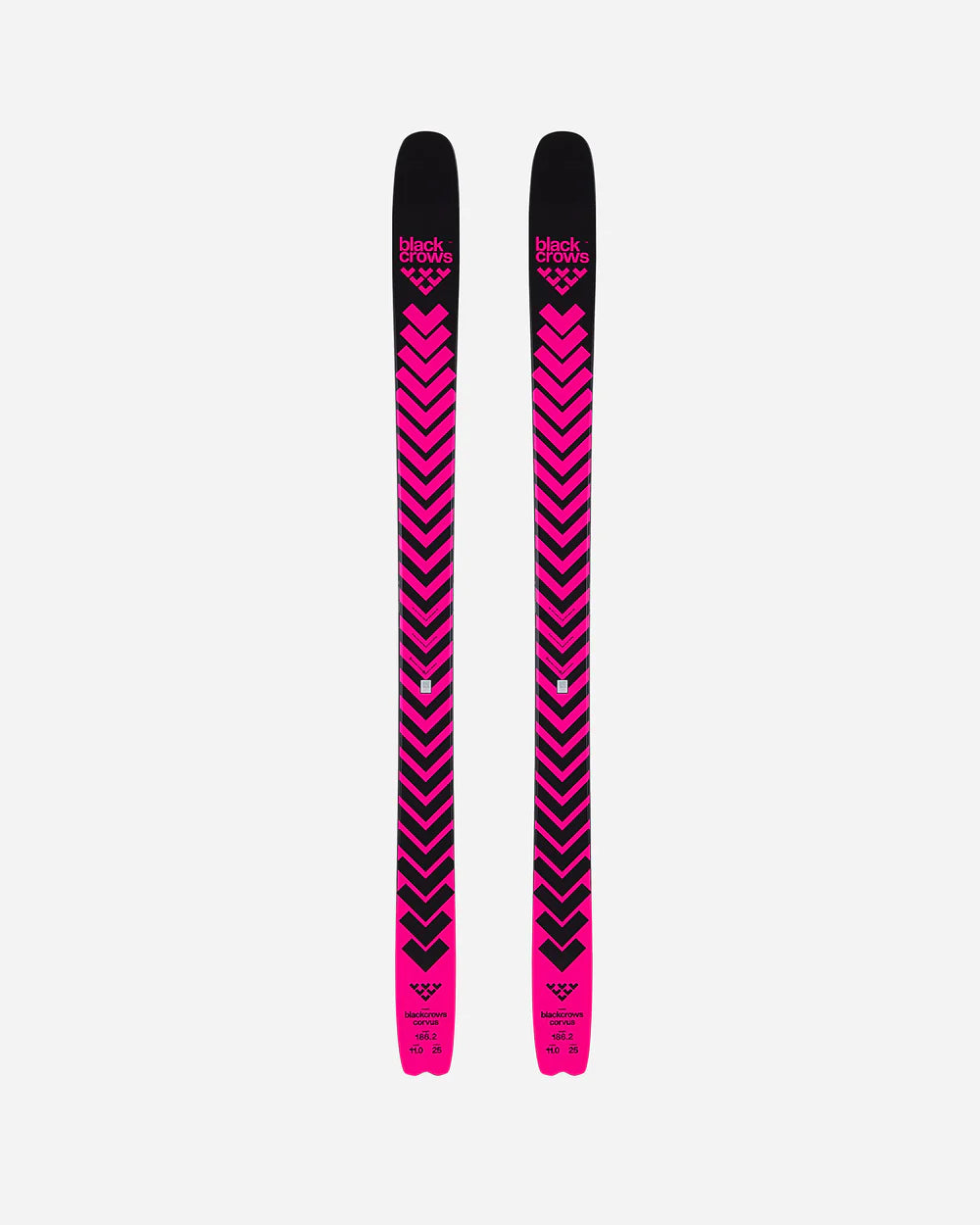 Corvus Skis 2026