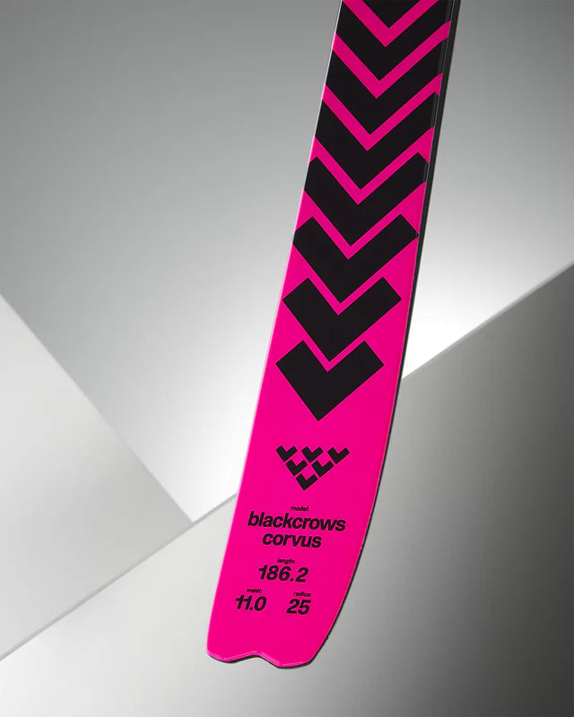 Corvus Skis 2026