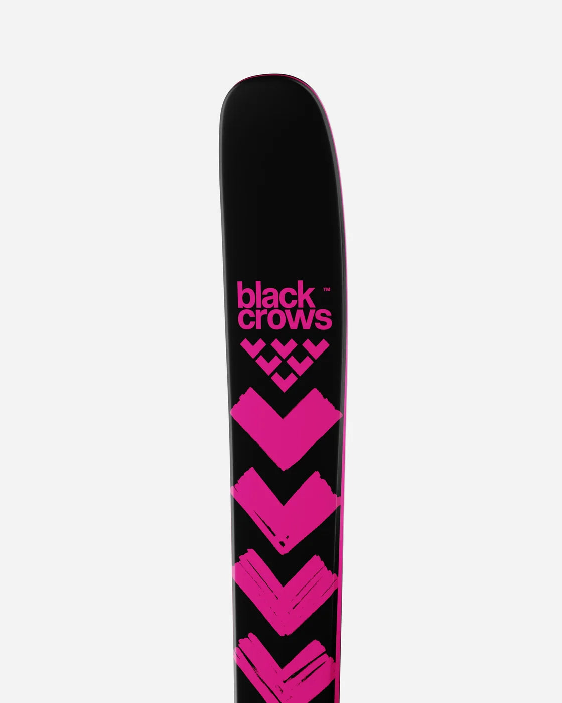 Corvus Skis 2027 product image