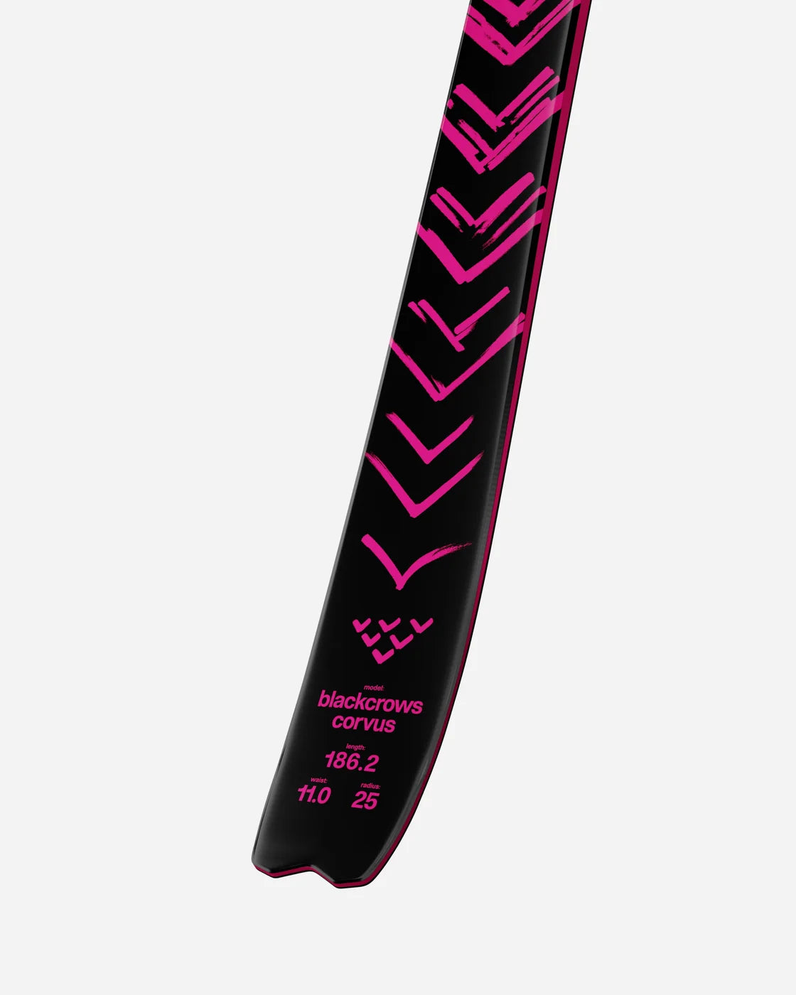 Corvus Skis 2027 product image