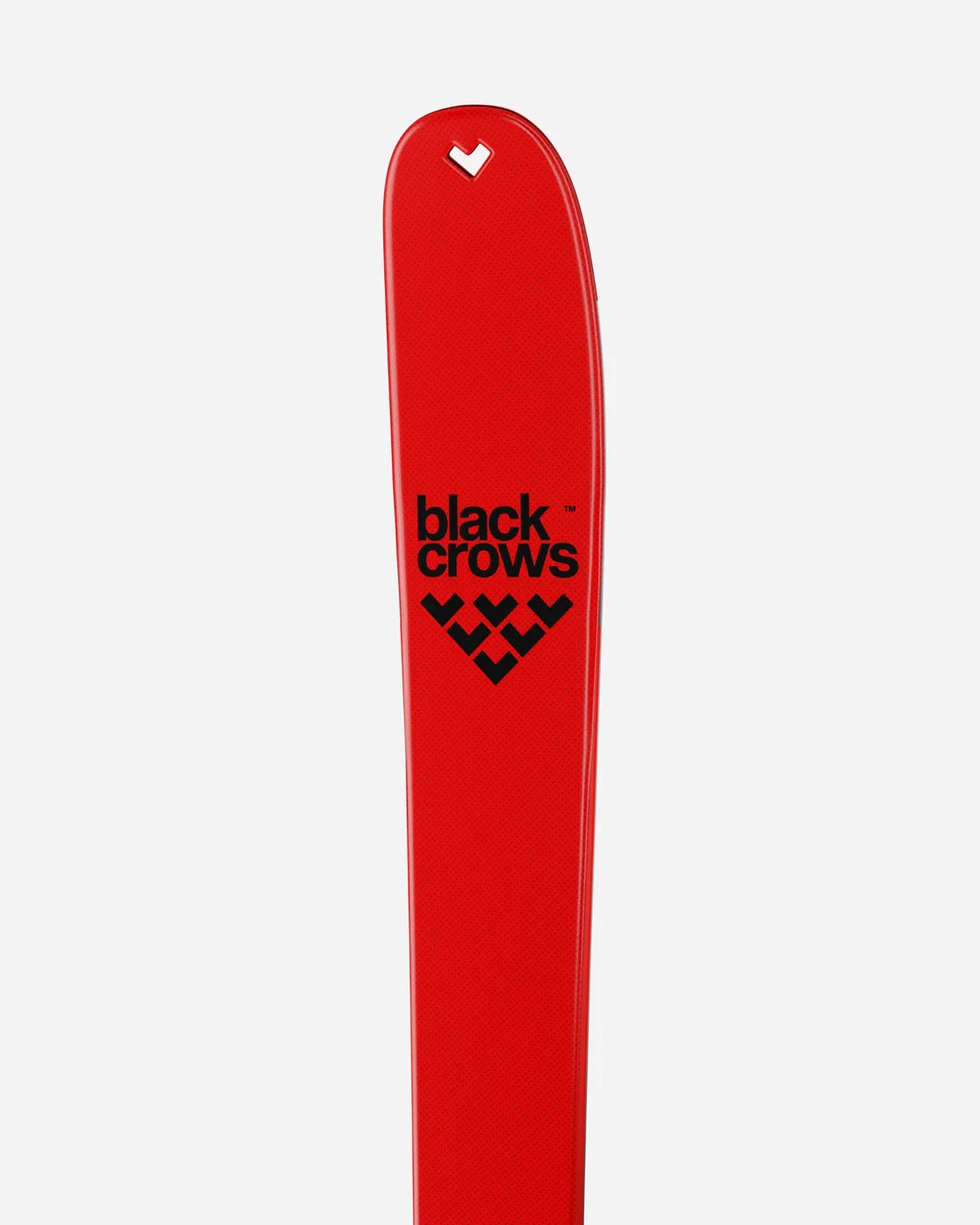 Camox Freebird Skis 2027 product image