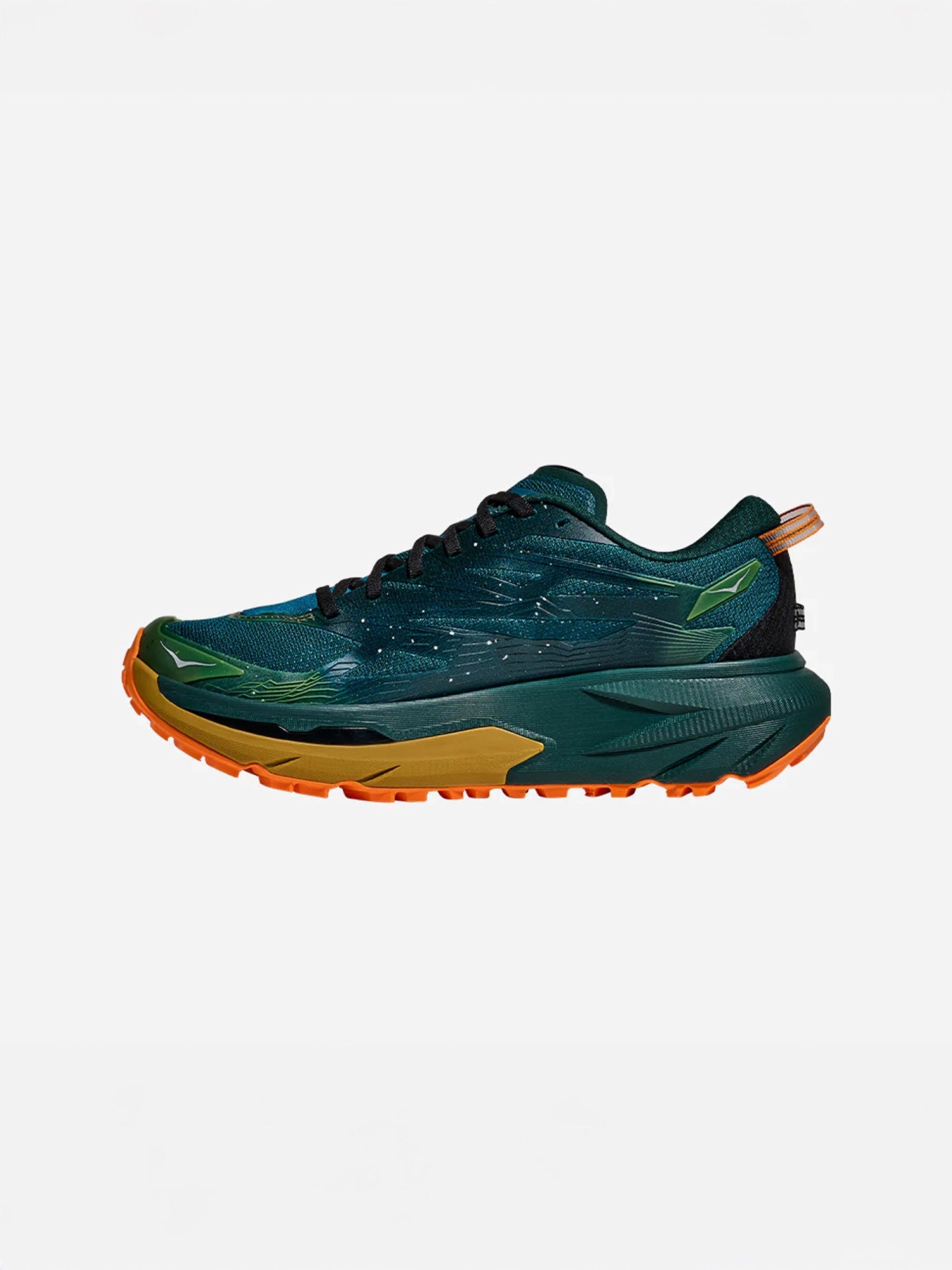 color:tidal wave