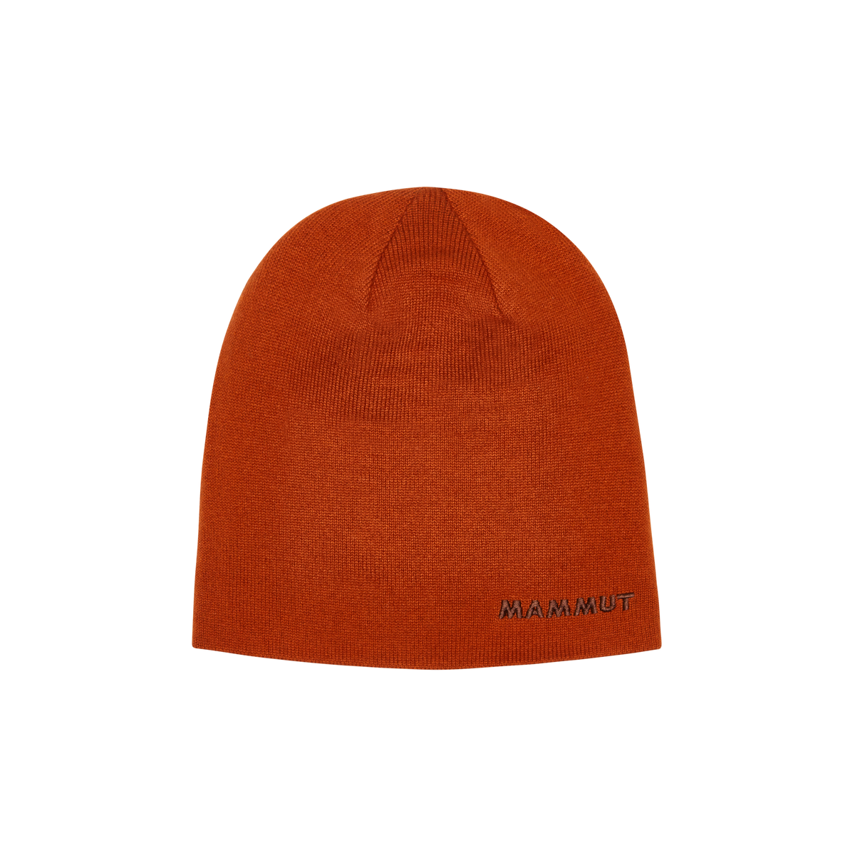 Logo Beanie Reversible – Autumn Larice / Soil