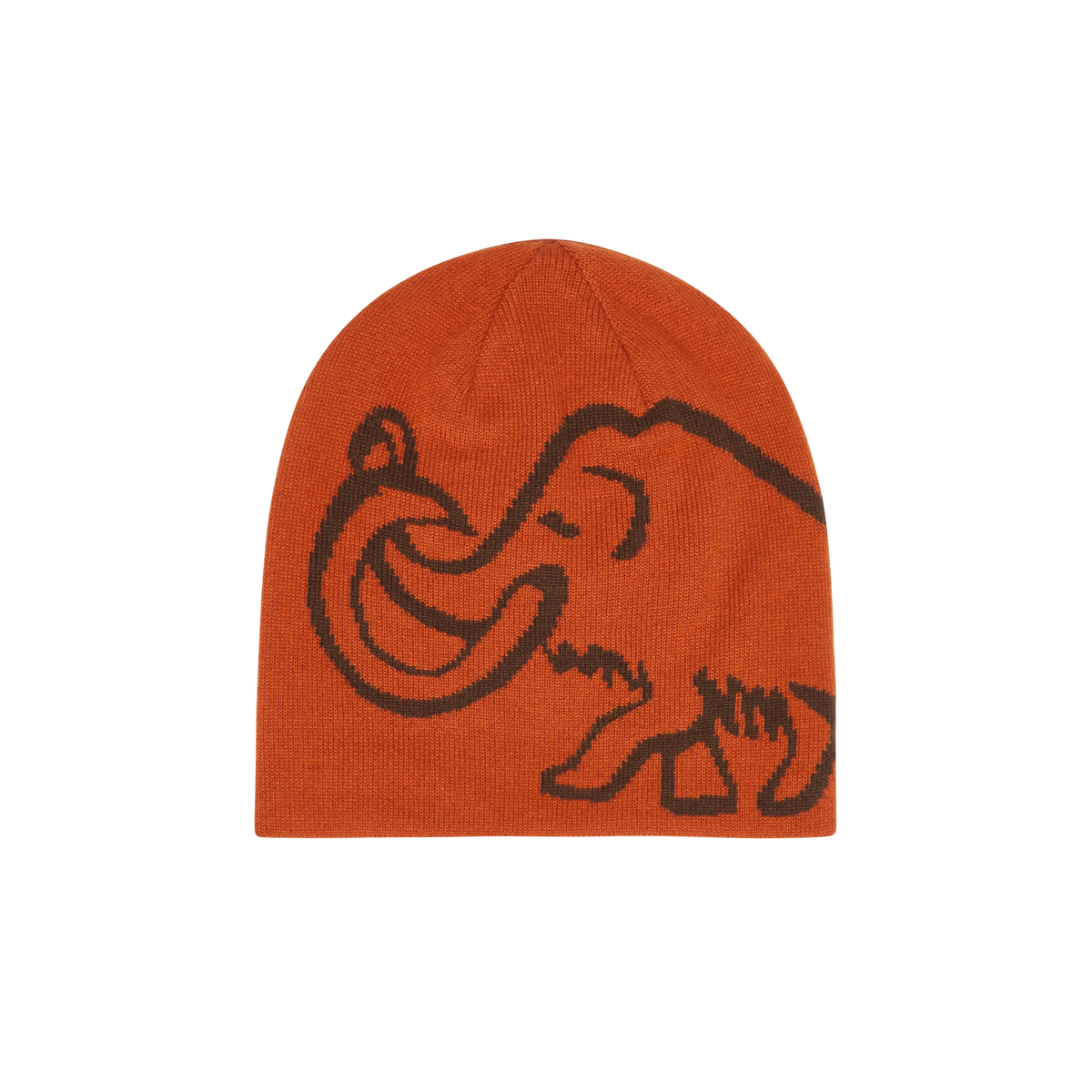 Logo Beanie Reversible – Autumn Larice / Soil