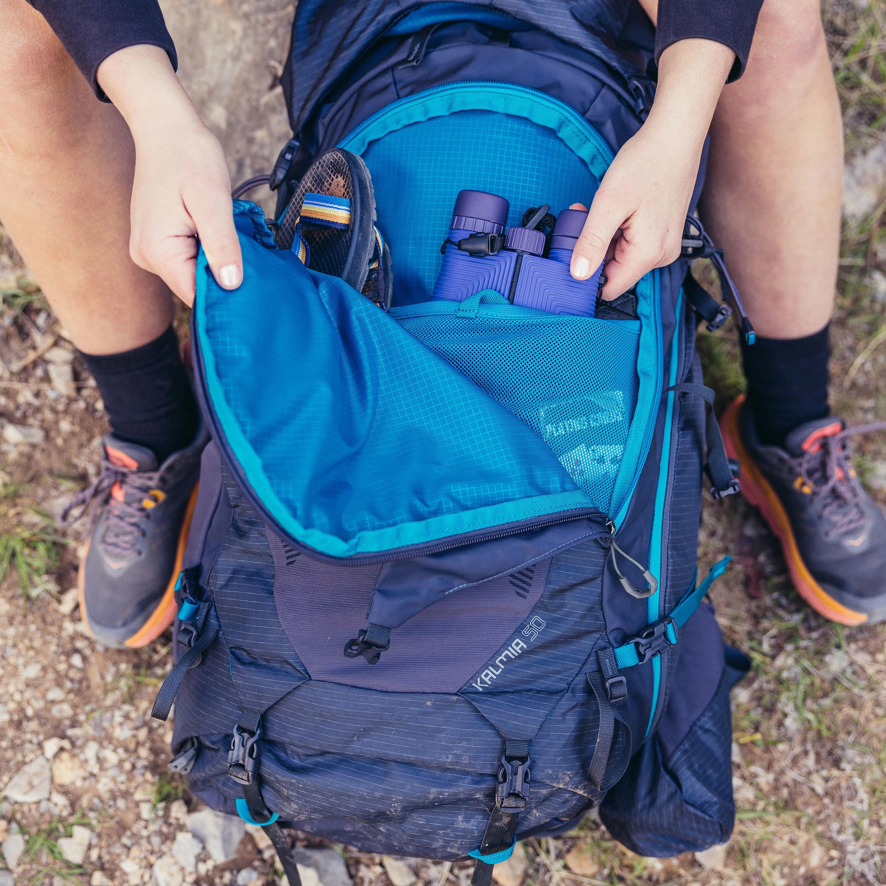 Kalmia 60 Pack