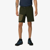 Norrona Men's Falketind Flex1 Light Shorts
