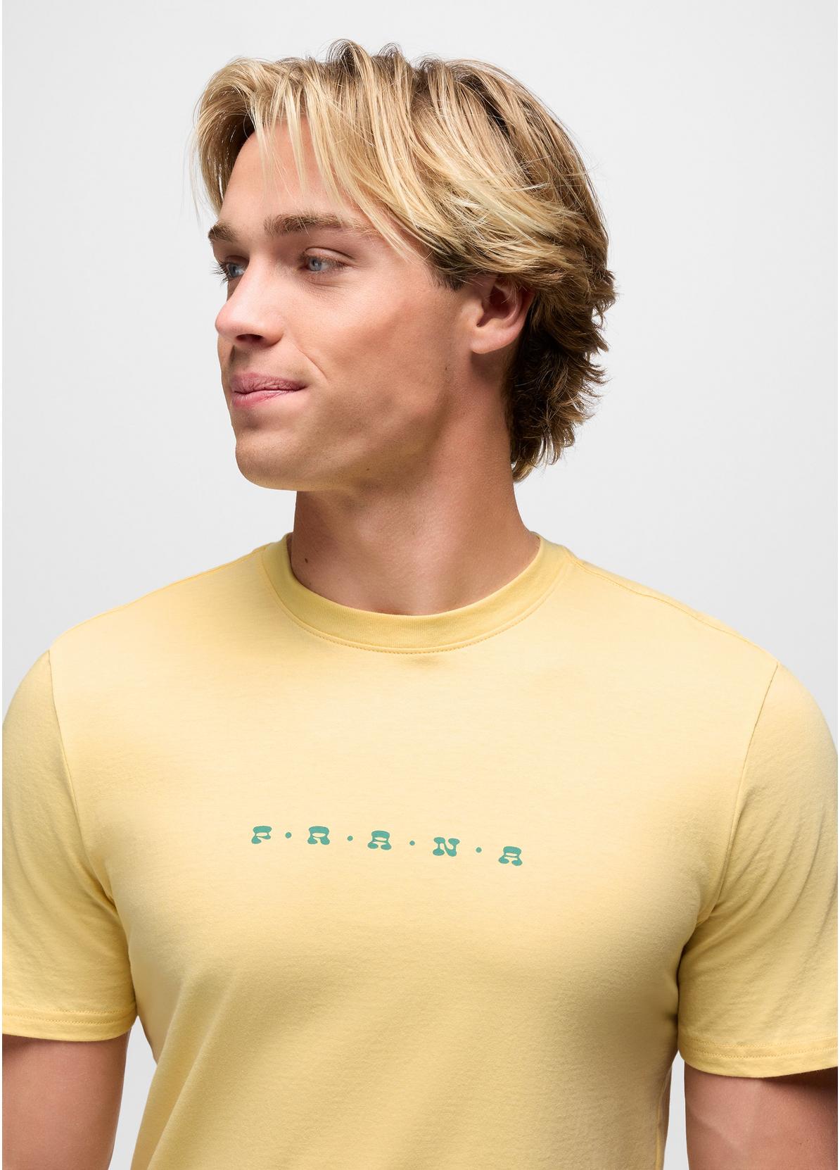 Men's Valley Lookout Short Sleeve Graphic Tee product image