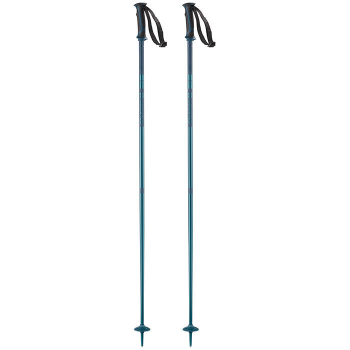 Arctic Ski Poles Past Season