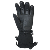 Auclair Men's Powder King Gloves