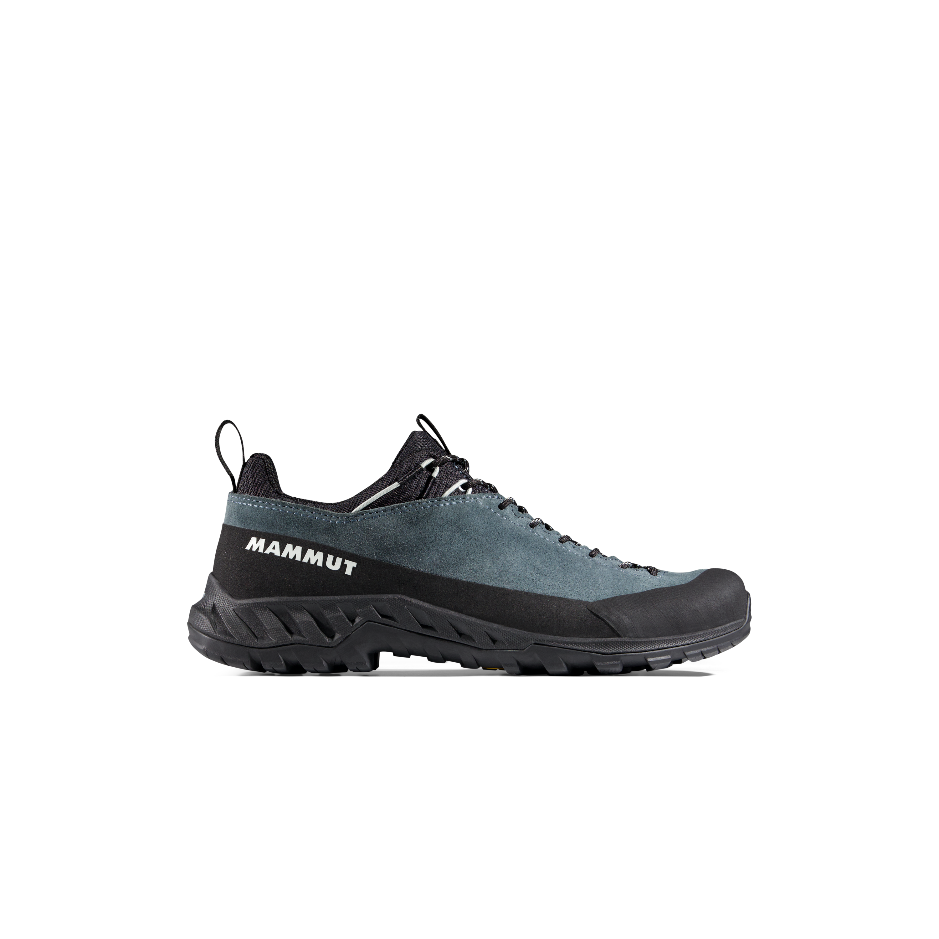 Women's Alnasca IV Low LTH Shoes