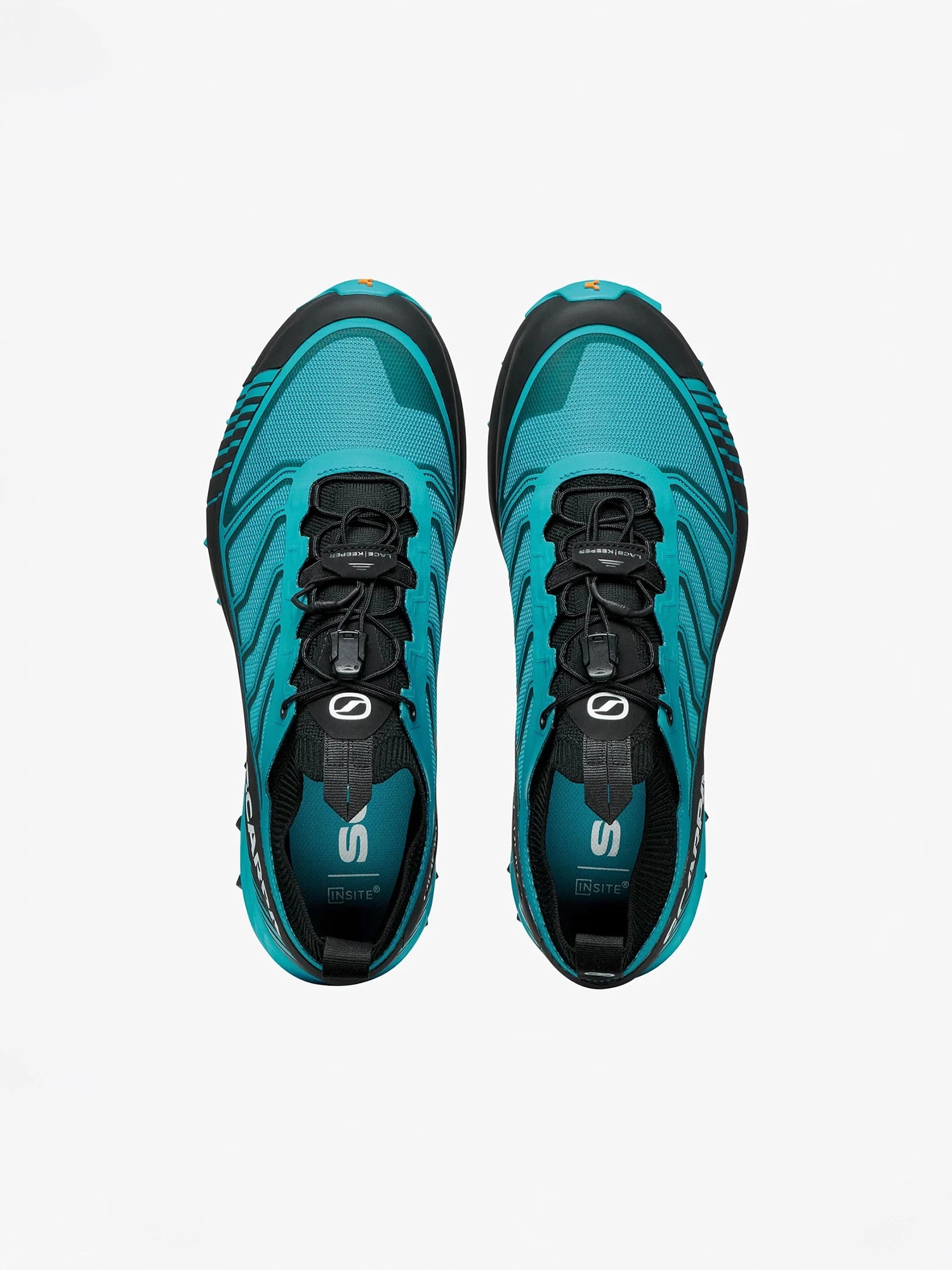color:blue reef / black