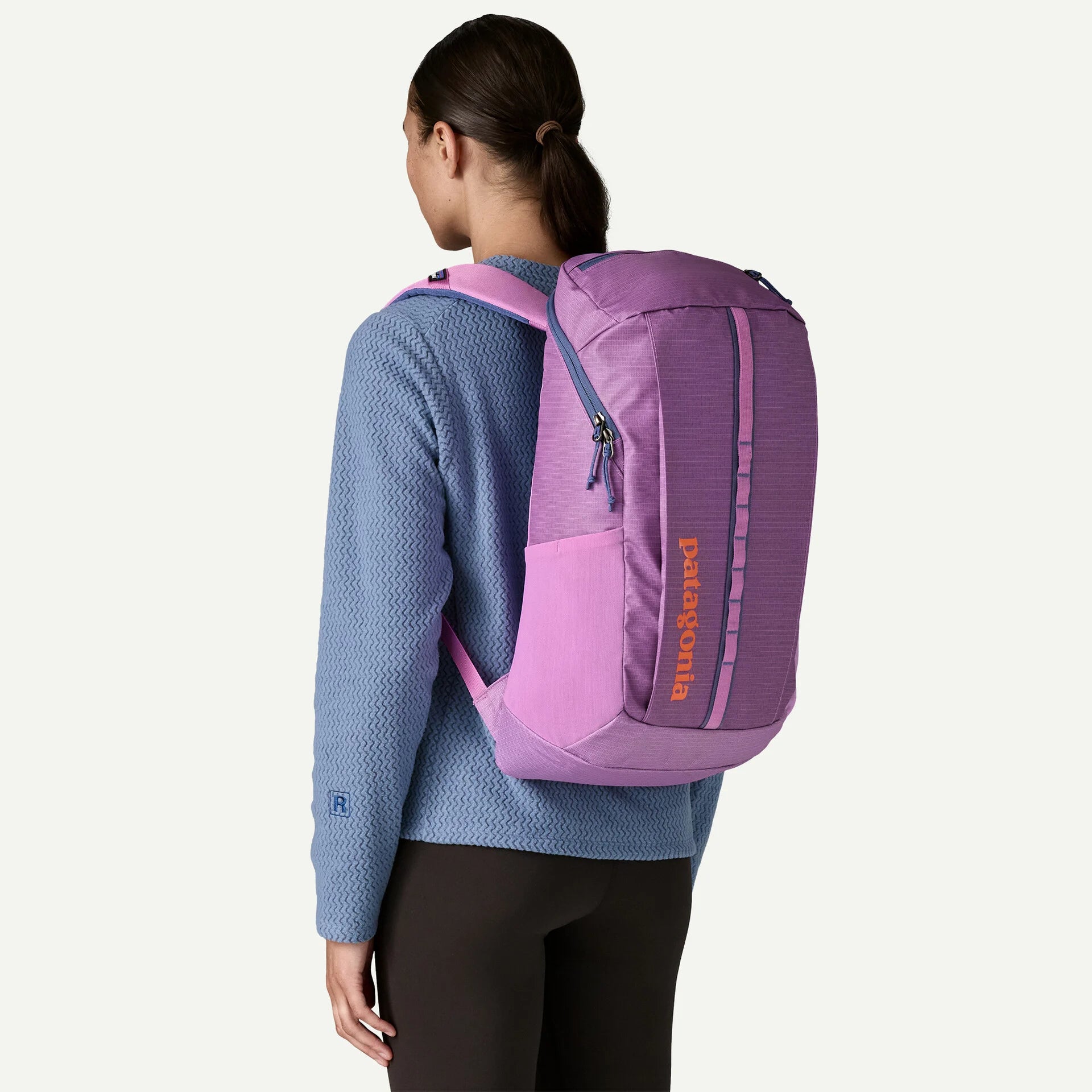 Black Hole Pack 25L