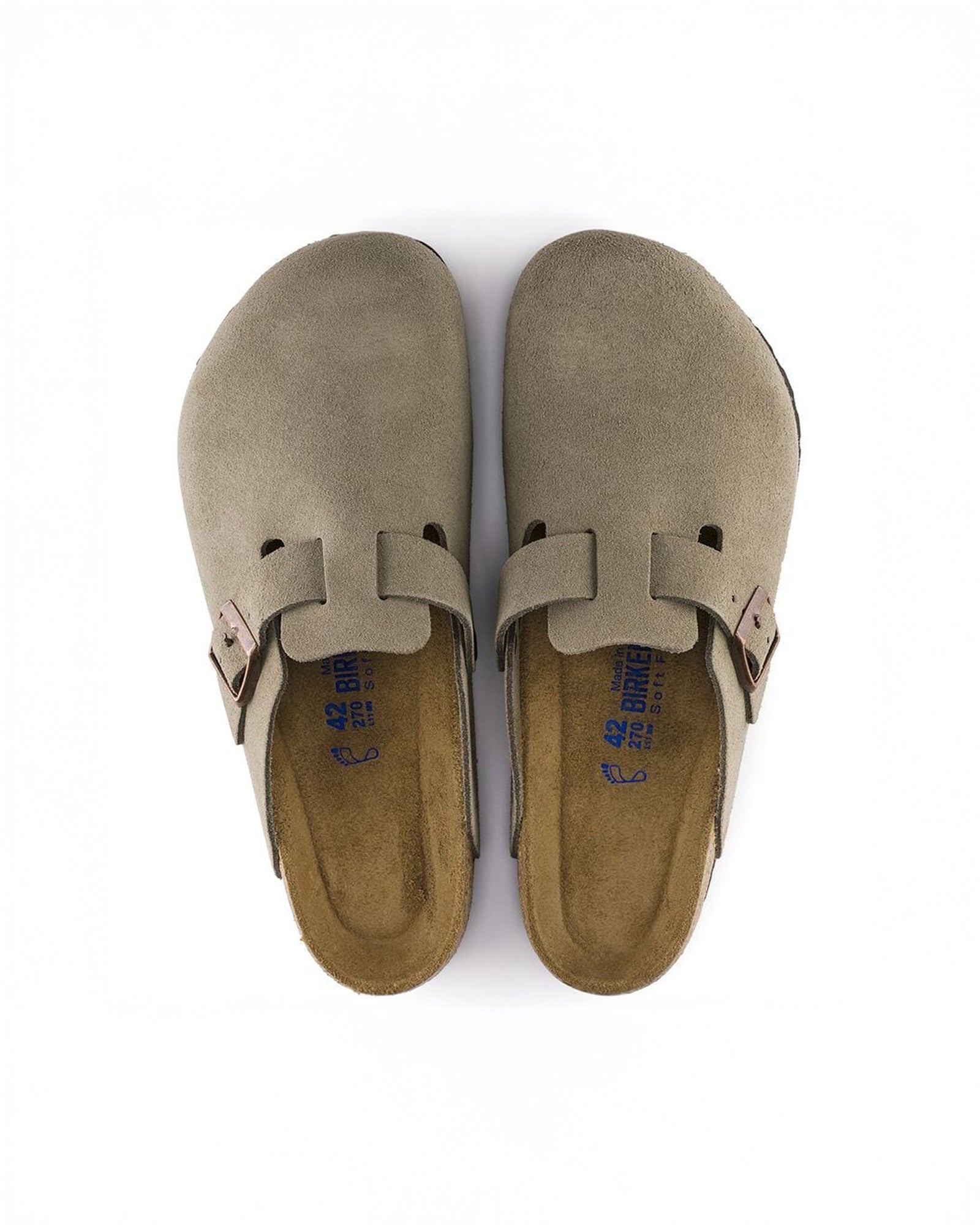 color:mocha