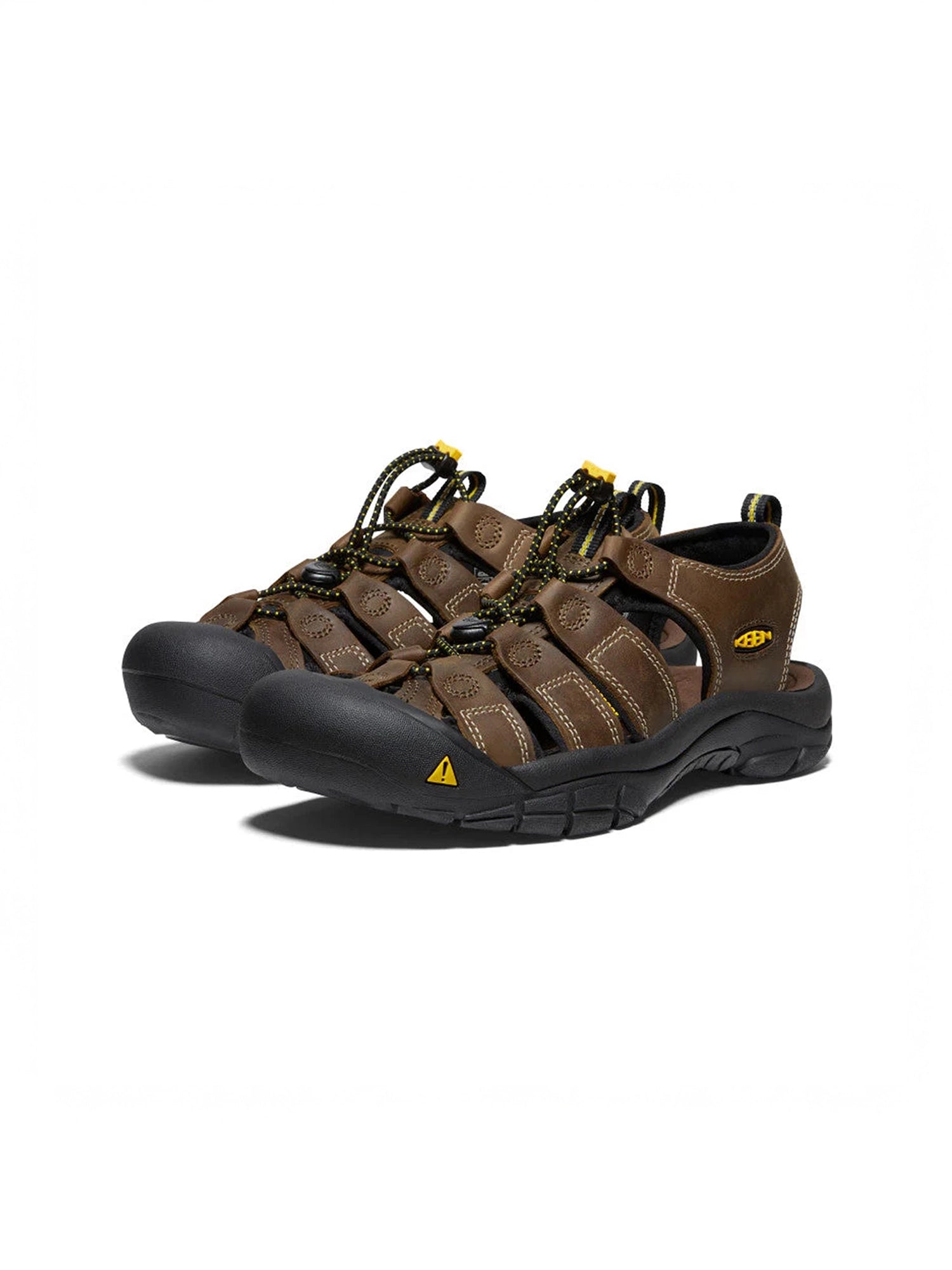 color:bison
