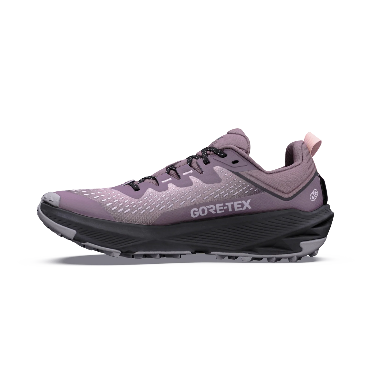 Women's Experience Wild 3+ GTX Running Shoes product image