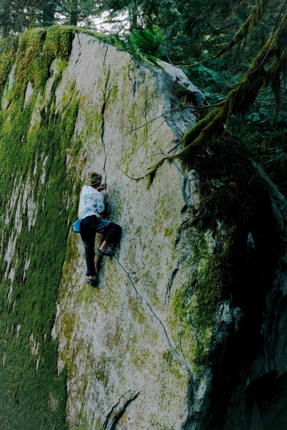 A person climbing a steep moss-covered rock face in a forest, with trees and moss visible around the cliff.