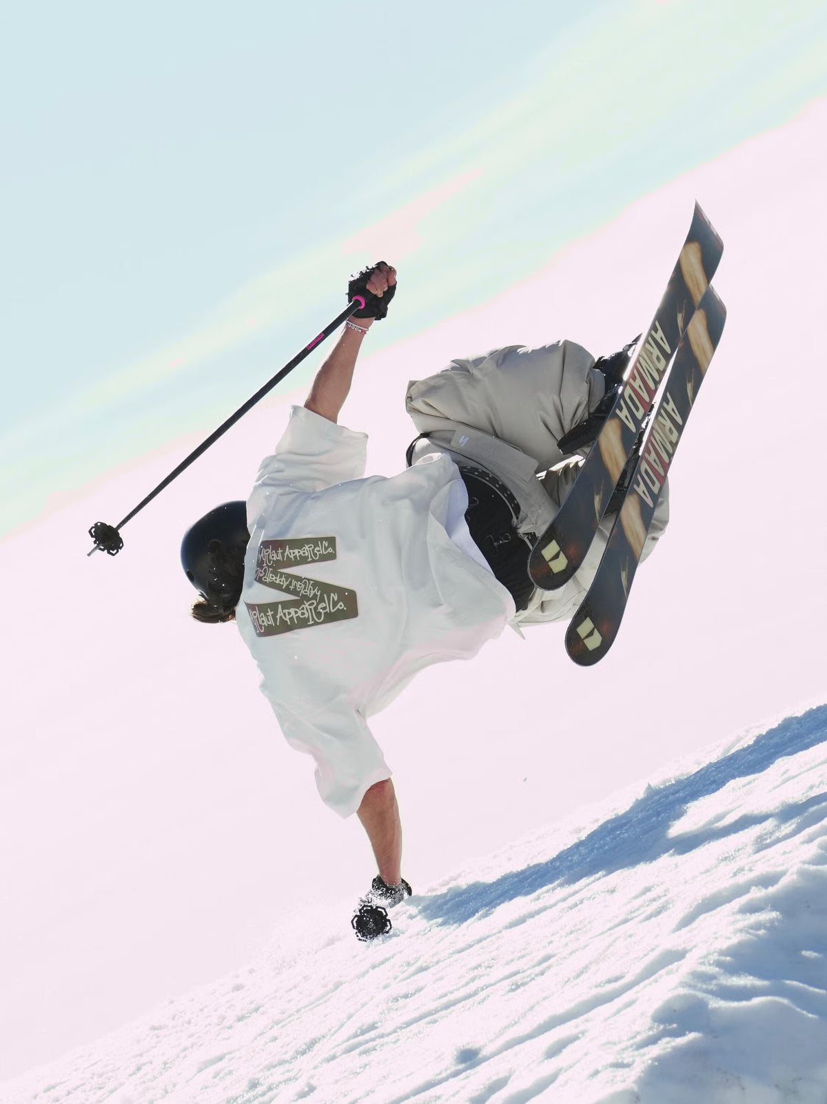 Legion Ski Poles