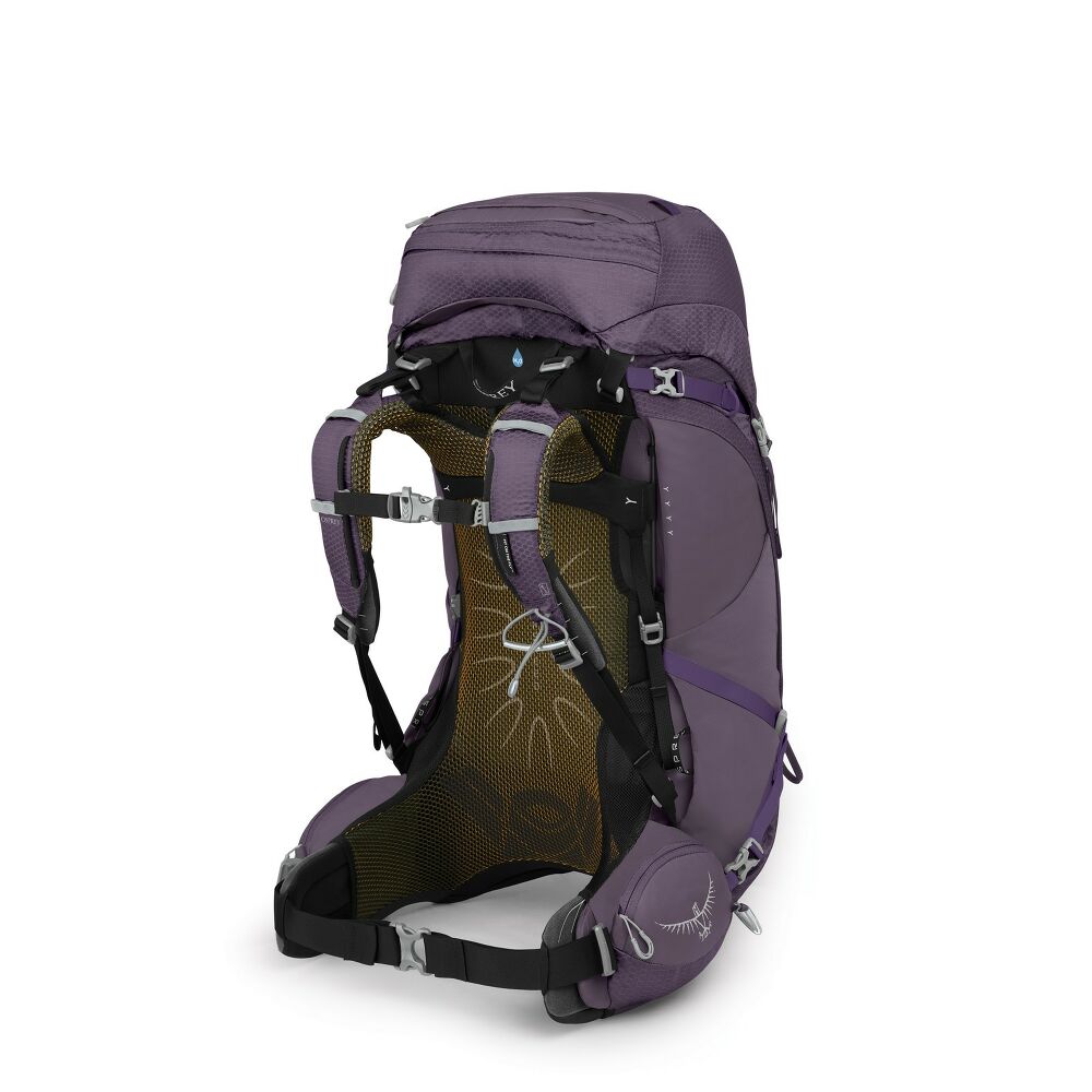 Aura AG 50 W Pack