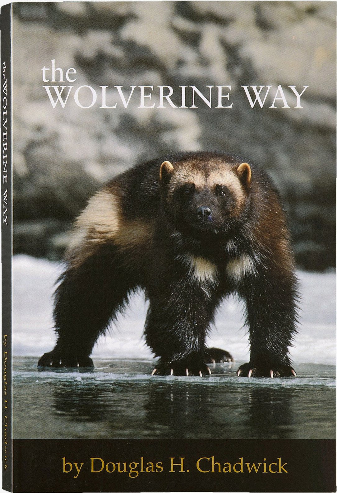 The Wolverine Way