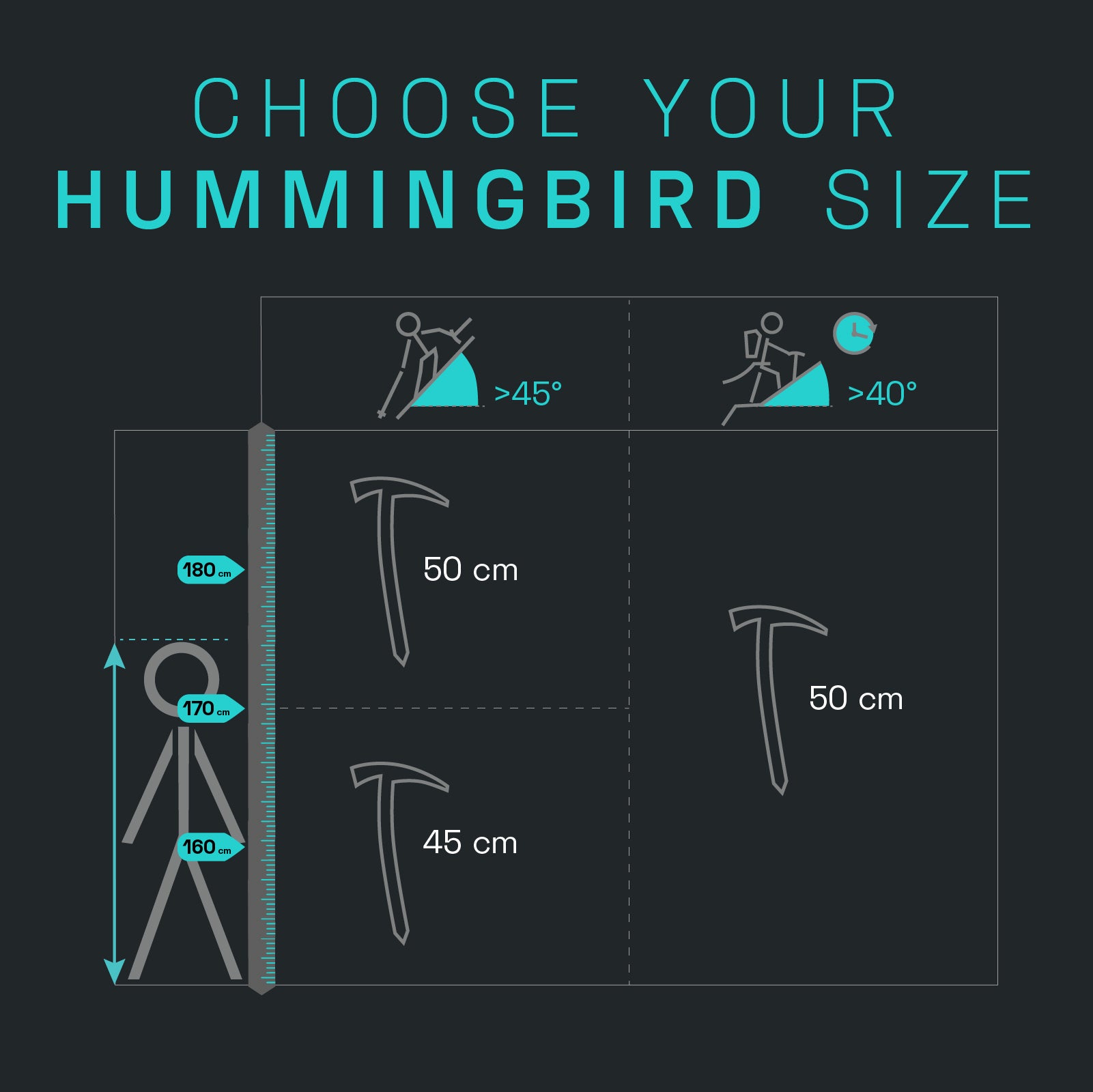 Choose-your-Hummingbird-size.jpg