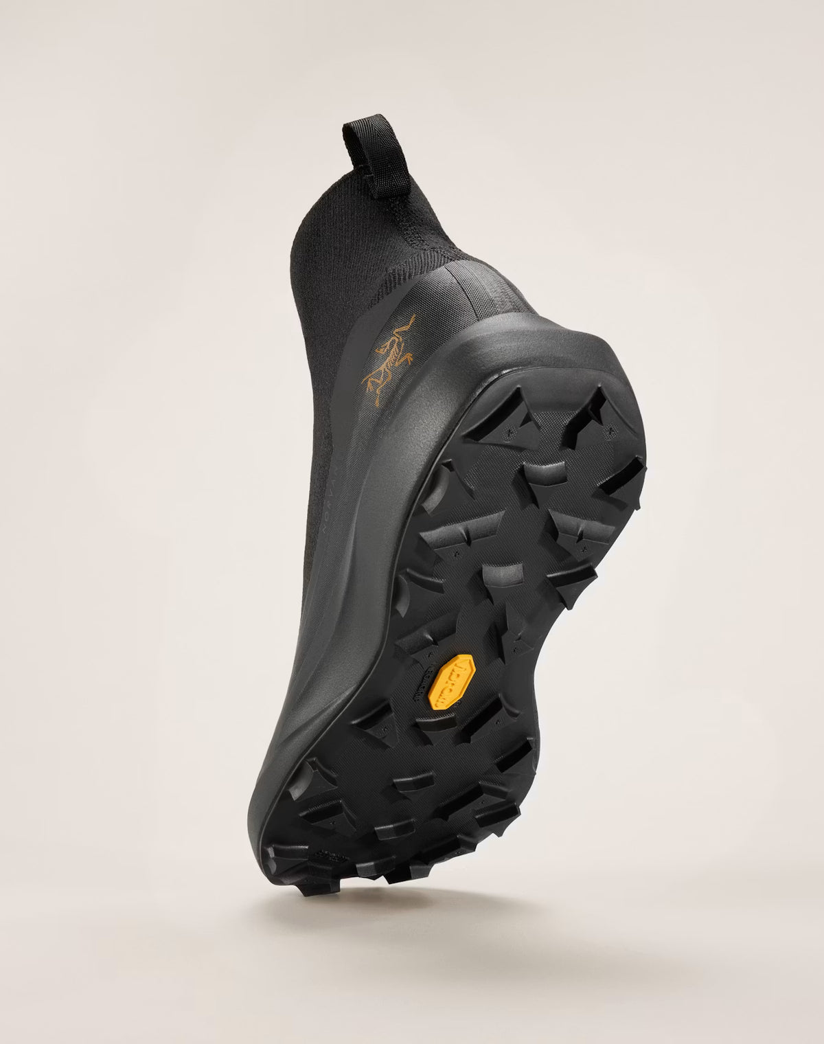 Men's Norvan 4 Nivalis GTX Running Shoes