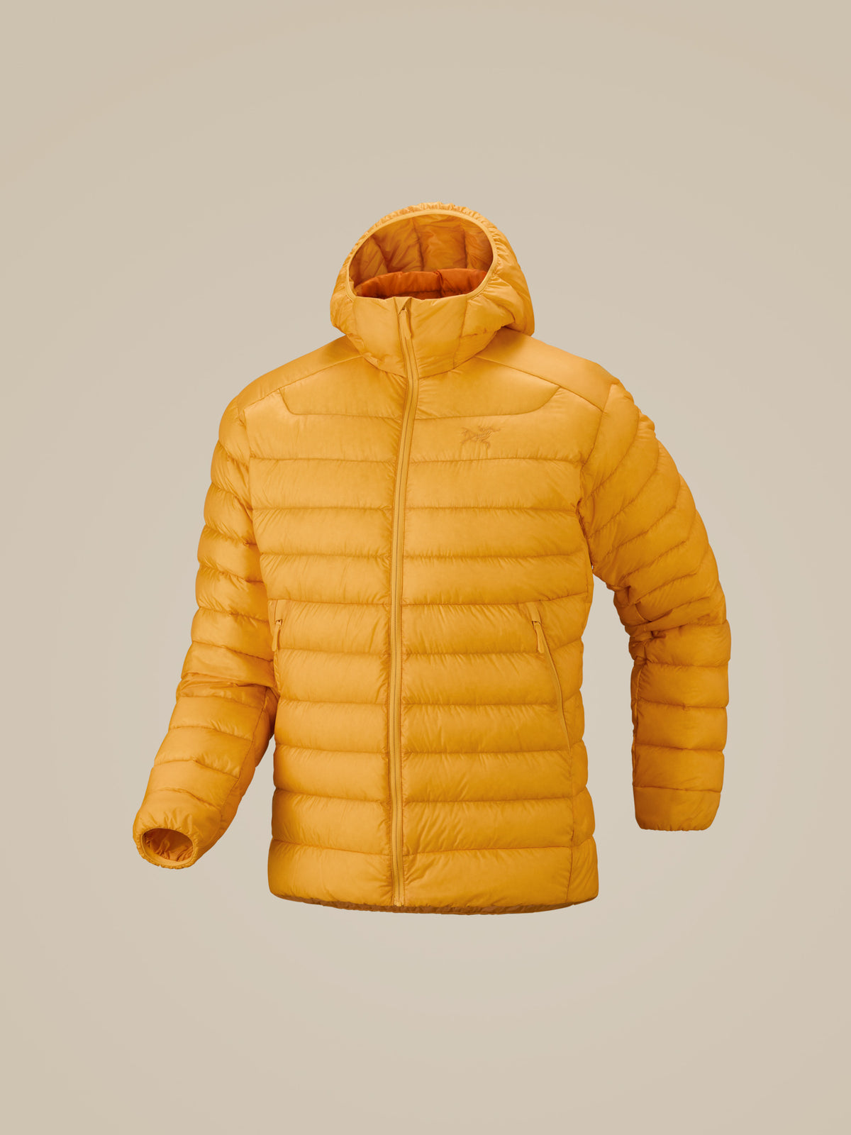 Men’s Cerium Hoody product image