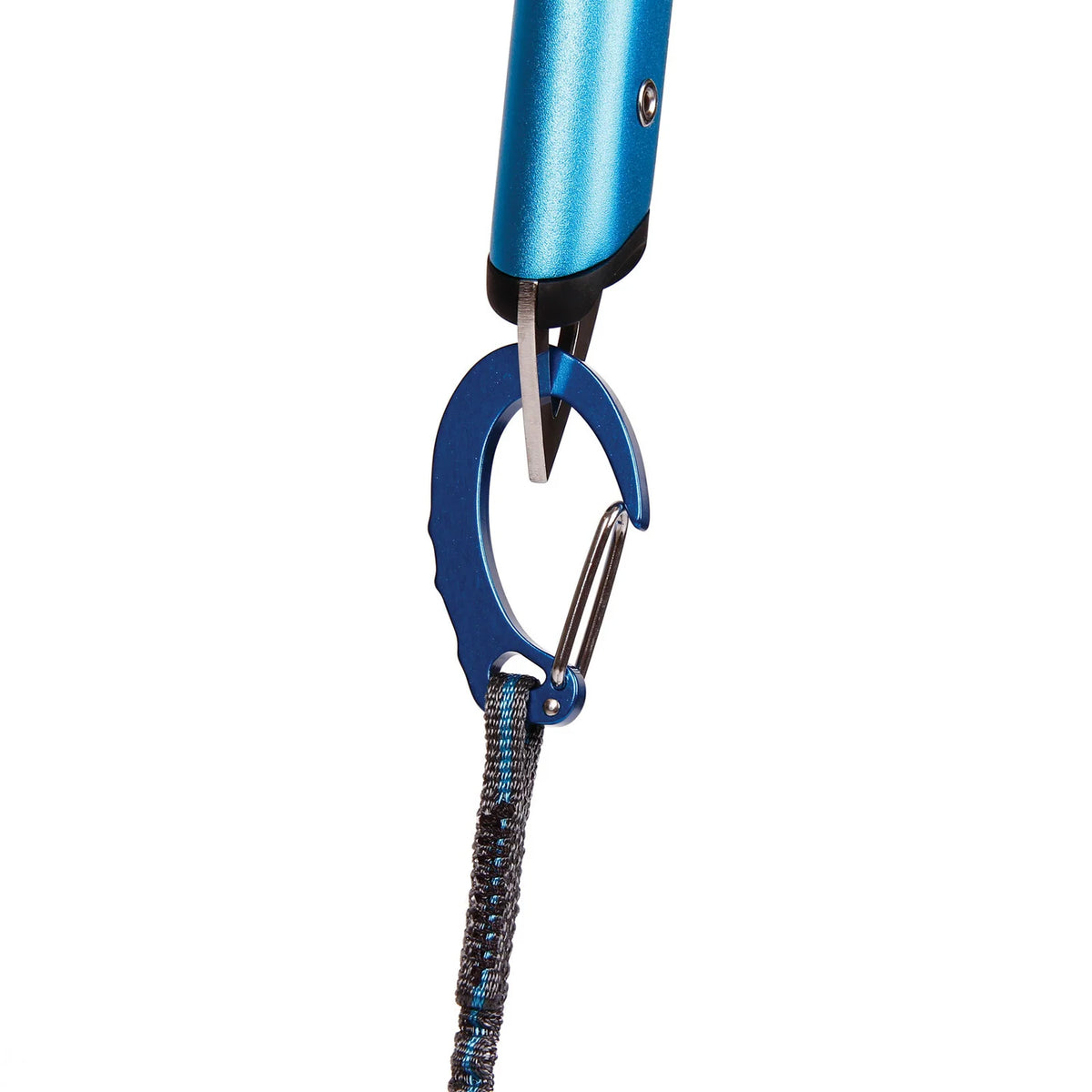 Hydra Leash product image