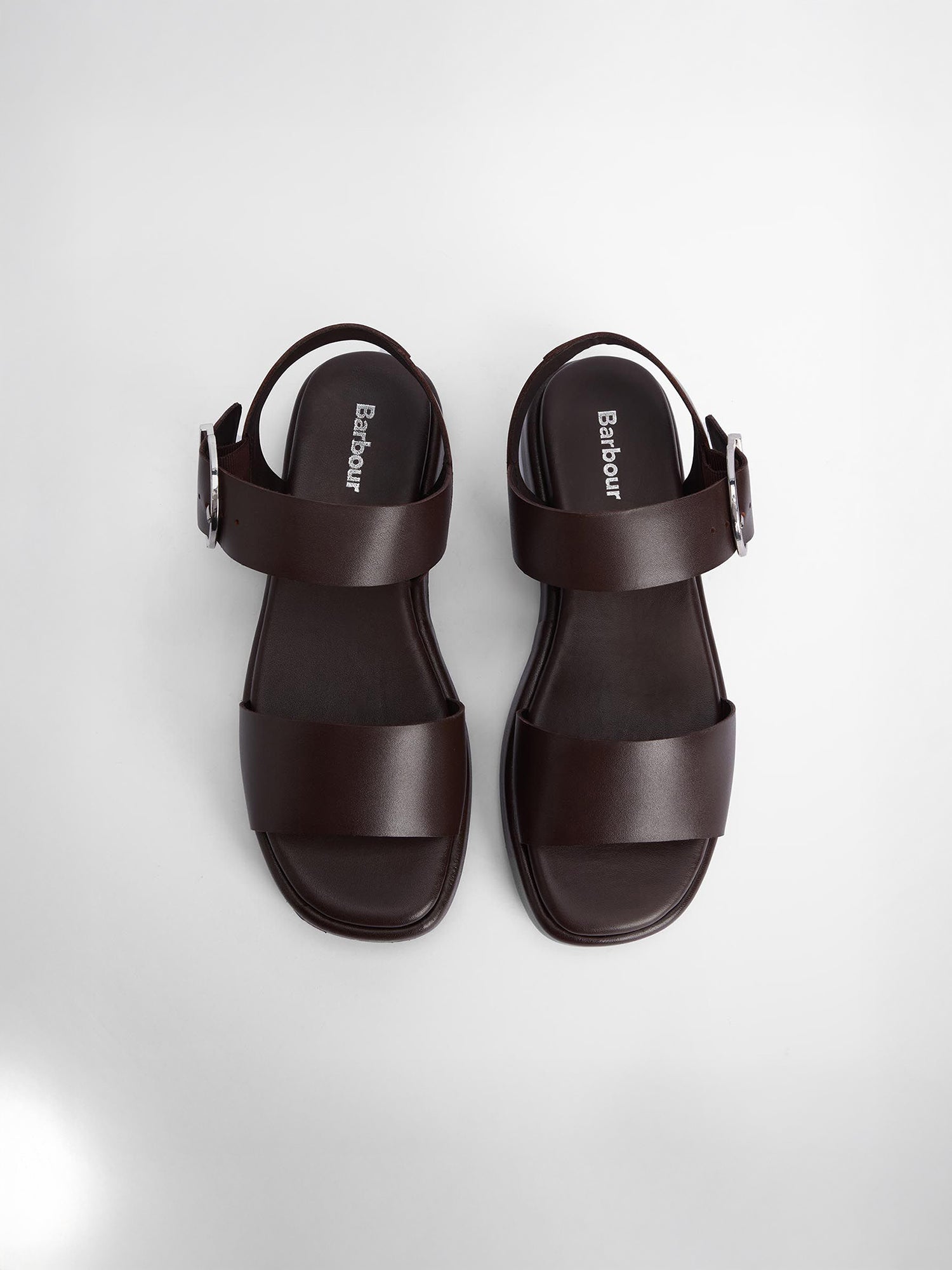color:dark brown