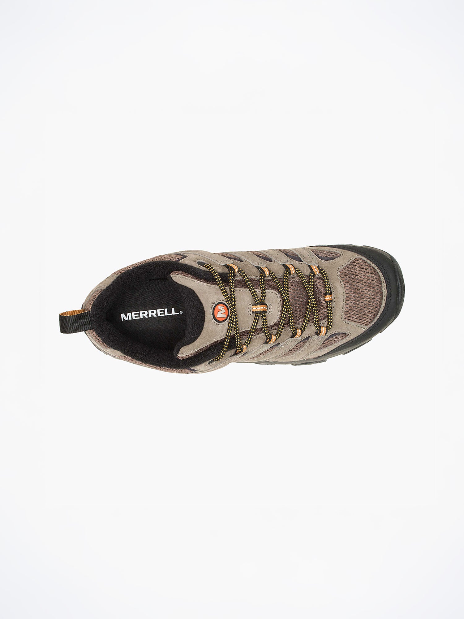 color:walnut