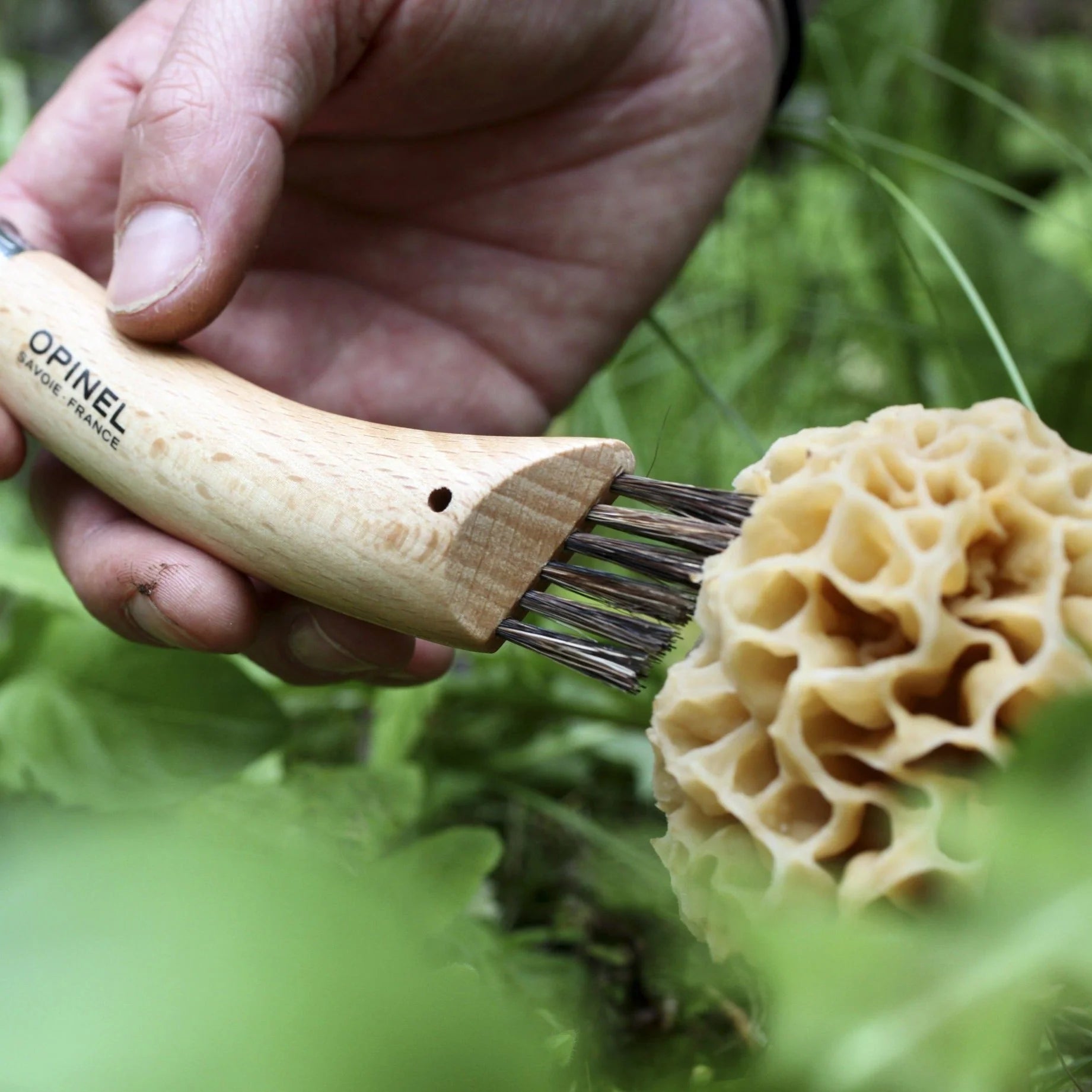 Stainless Steel Mushroom Knife