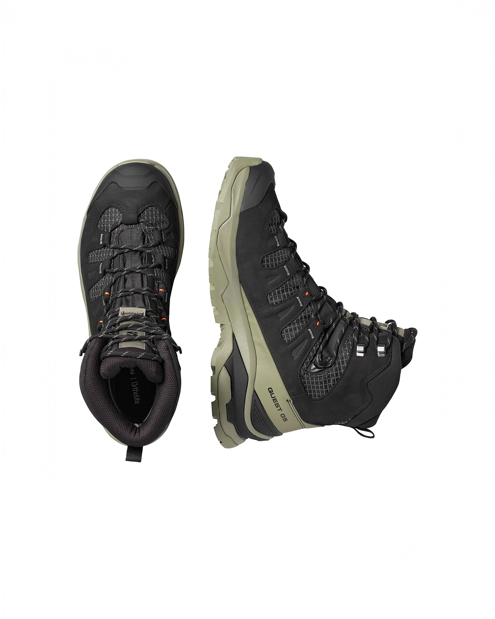 color:black / deep lichen green