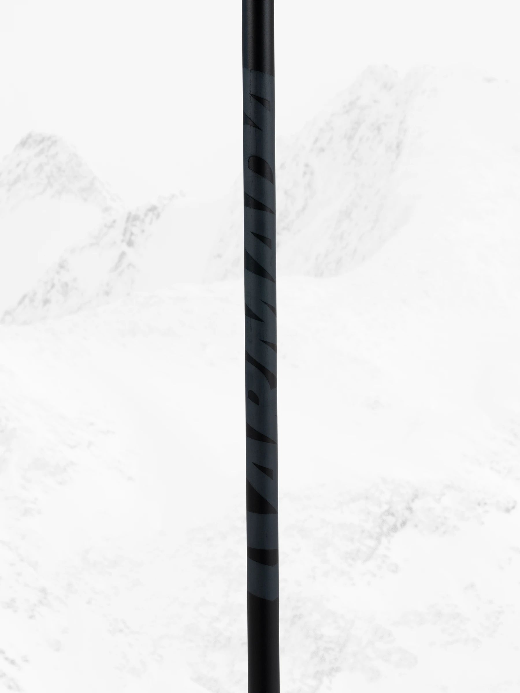 Legion Ski Poles