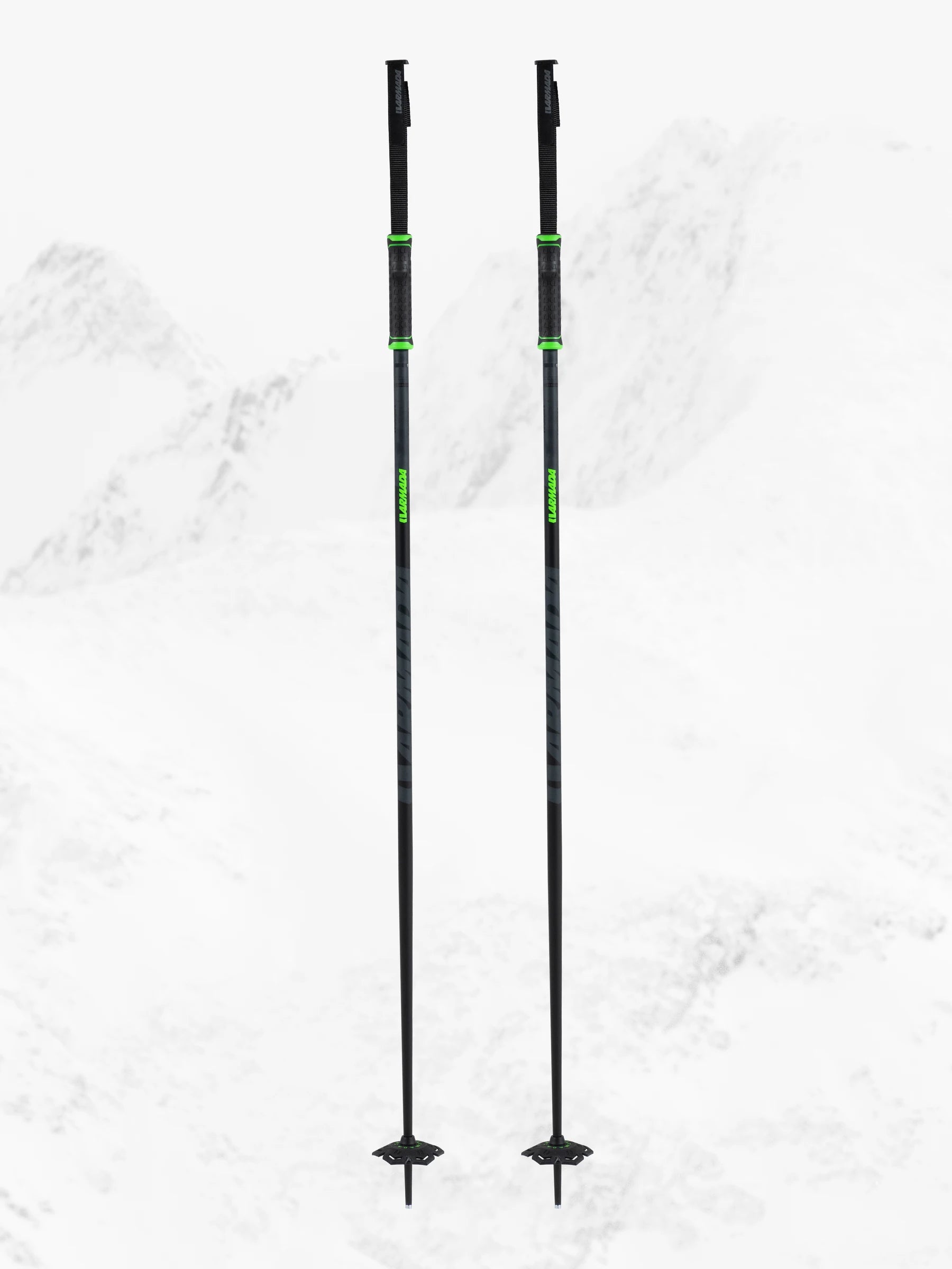 Legion Ski Poles