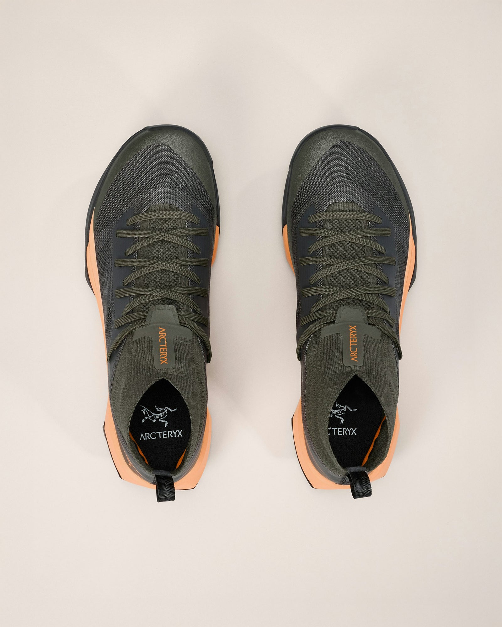 color:forage / luminary