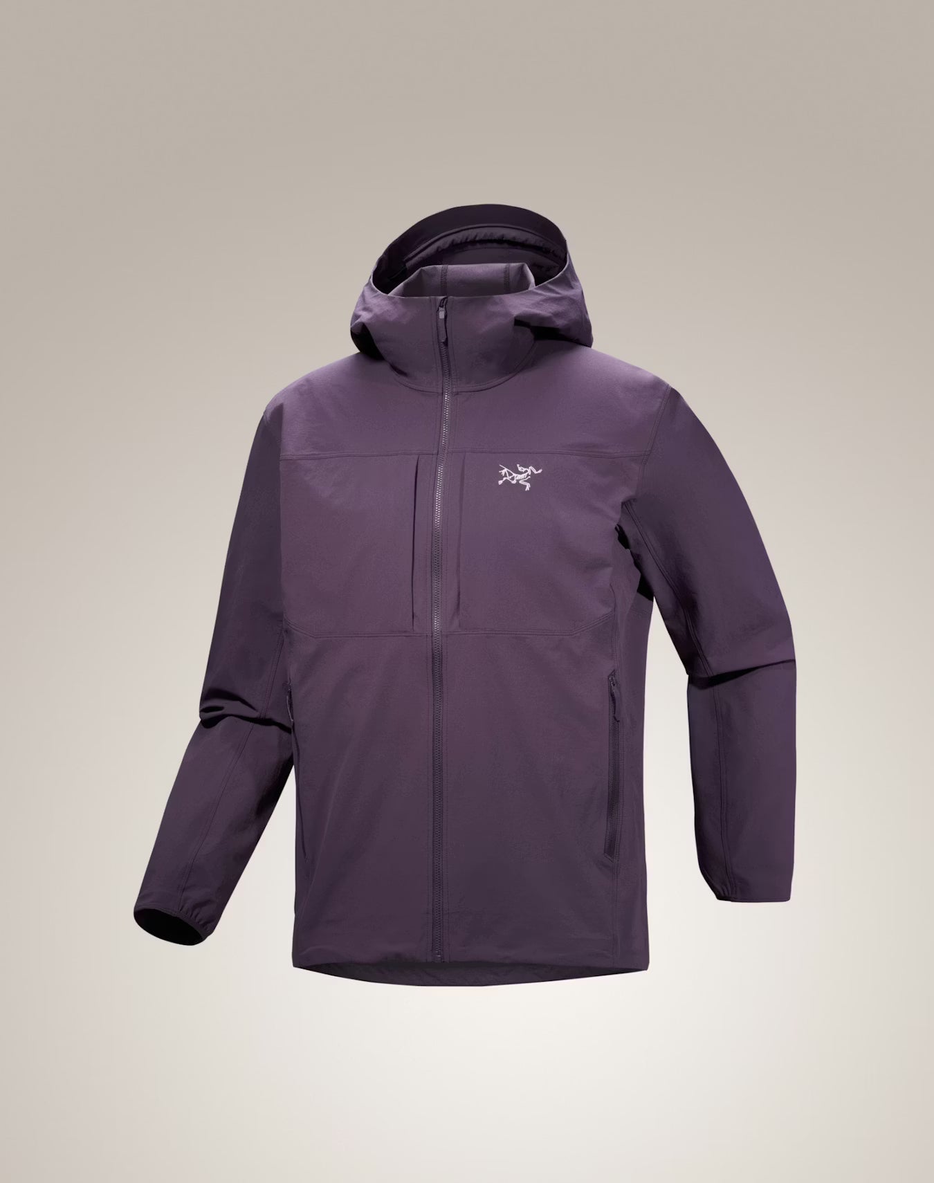 Men's Gamma Hoody