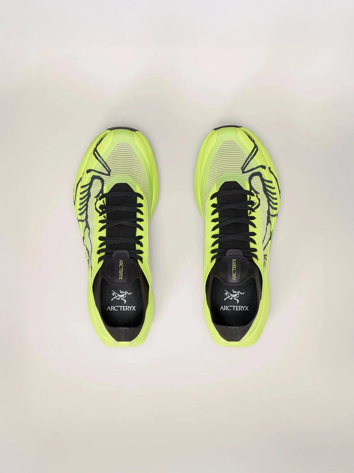 color:mantis / mantis