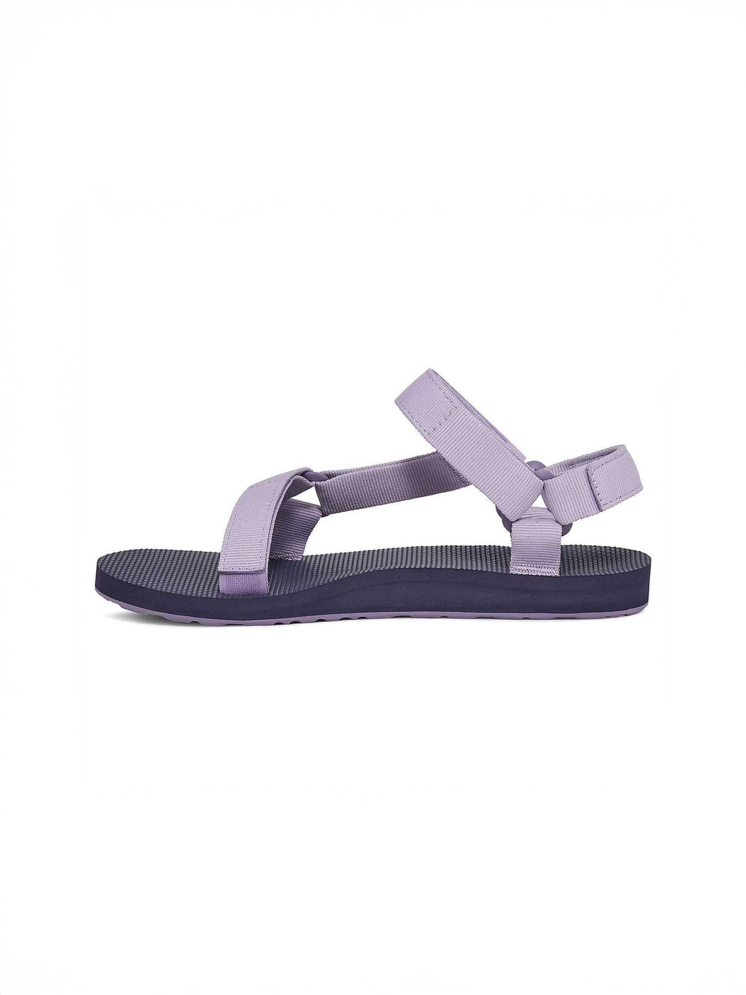 color:thistle