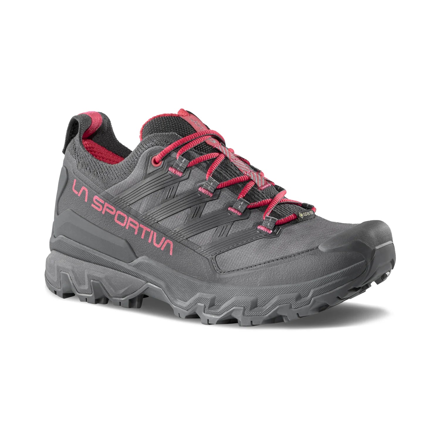Women's Ultra Raptor 3 GTX Shoes