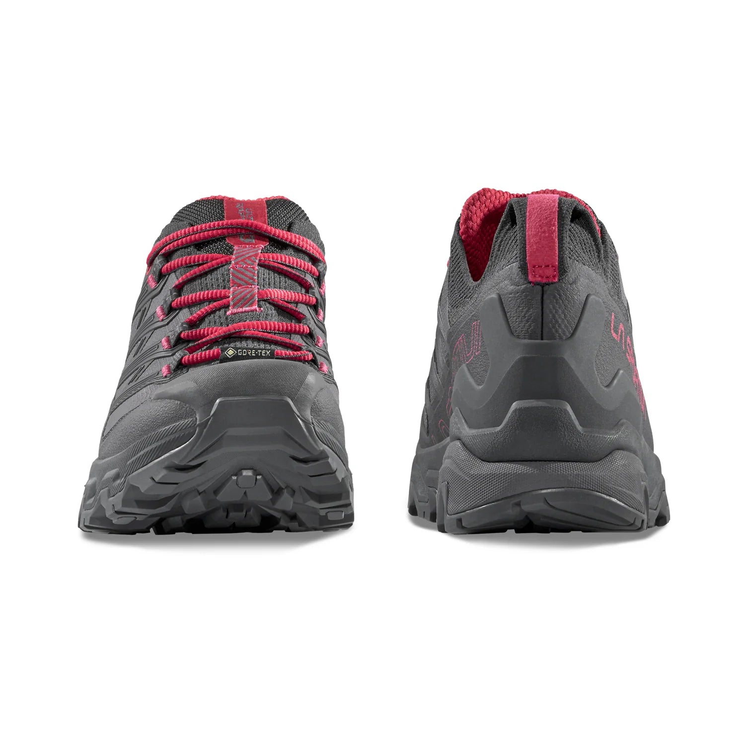 Women's Ultra Raptor 3 GTX Shoes