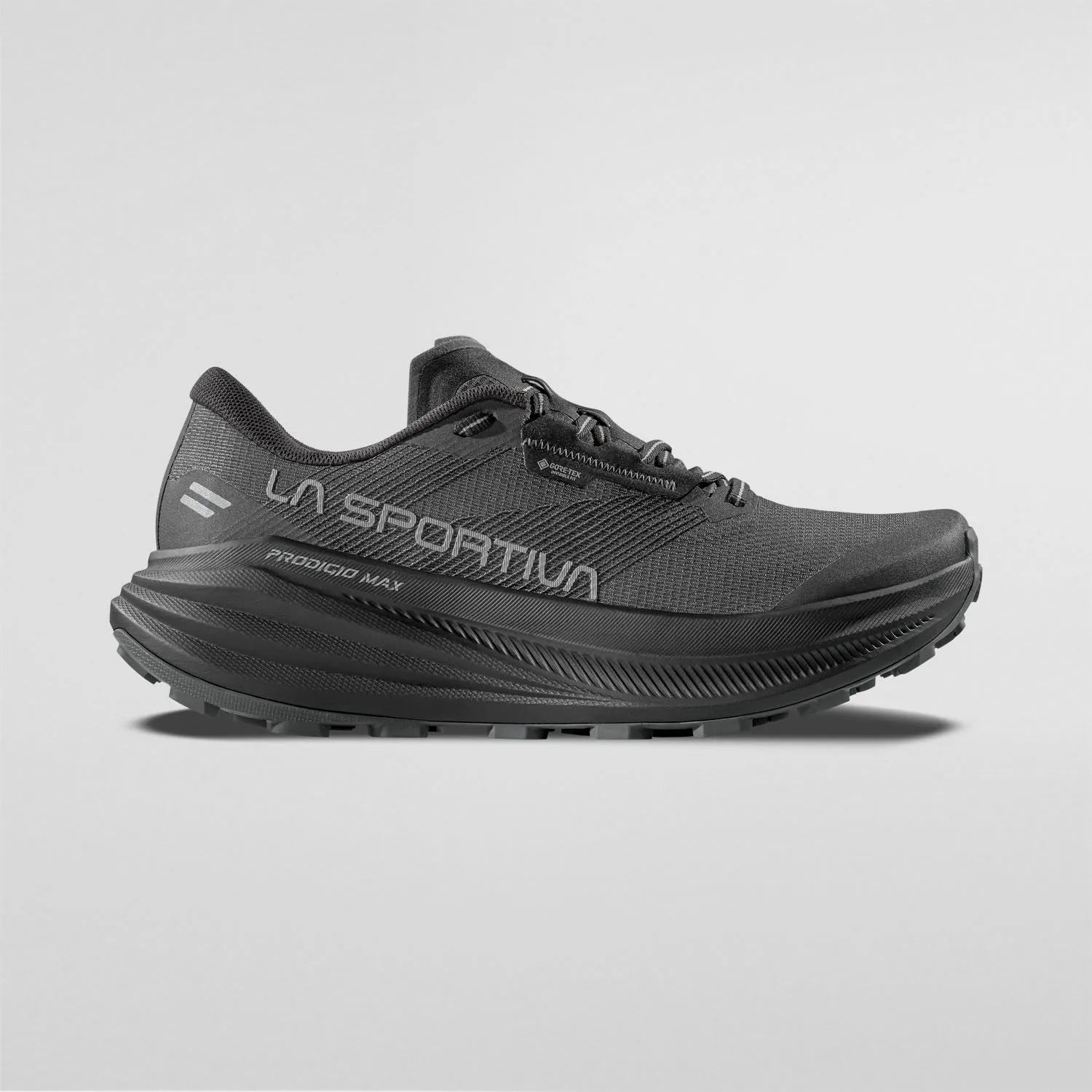 Women's Prodigio Max GTX Running Shoes