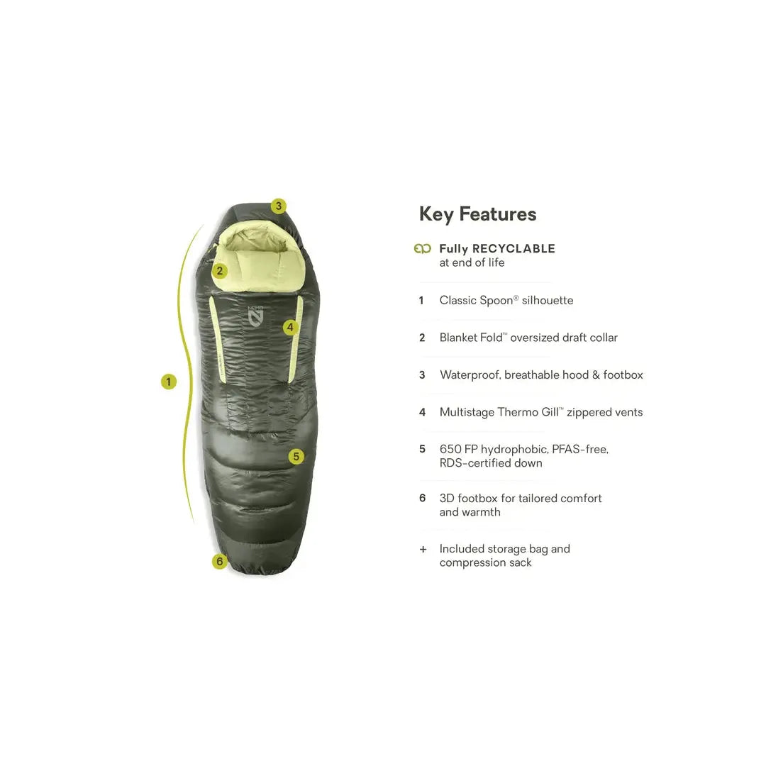 Women's Disco Endless Promise Down Sleeping Bag 15