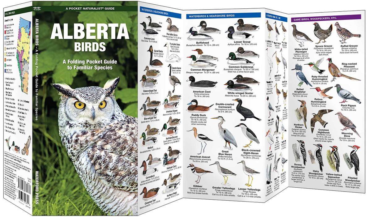 Alberta Birds Folding Pocket Guide | 2nd Edition
