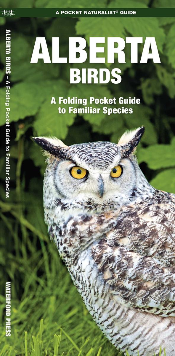 Alberta Birds Folding Pocket Guide | 2nd Edition
