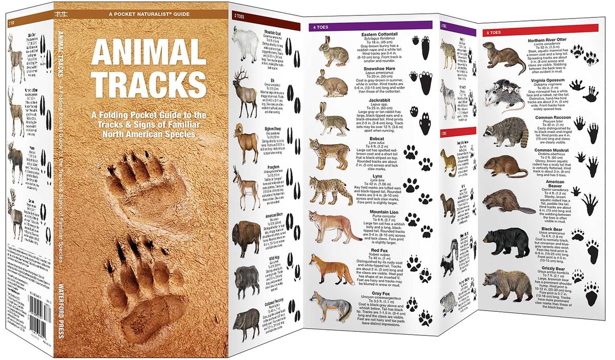 Animal Tracks Folding Pocket Guide