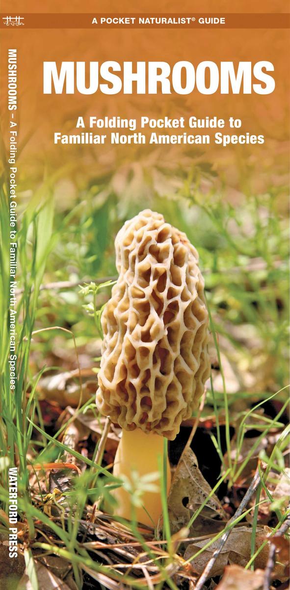 Mushrooms of North America Folding Pocket Guide