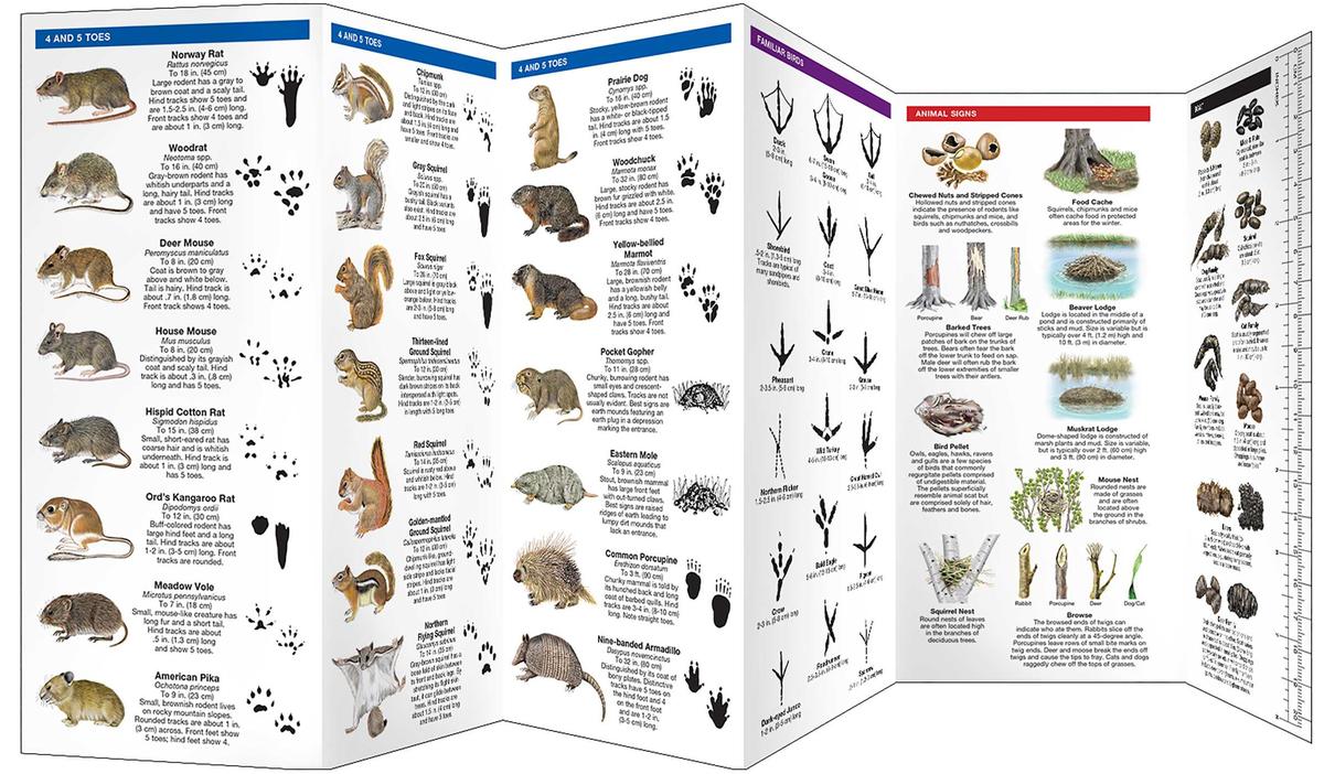 Animal Tracks Folding Pocket Guide