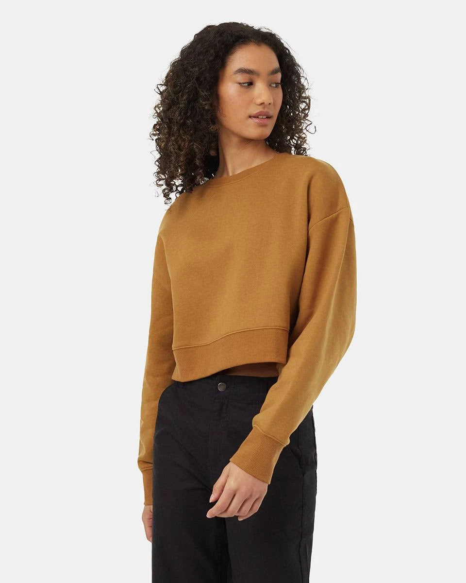 shopping_20883411-8210-4490-89f9-2225104b6dff.webp
