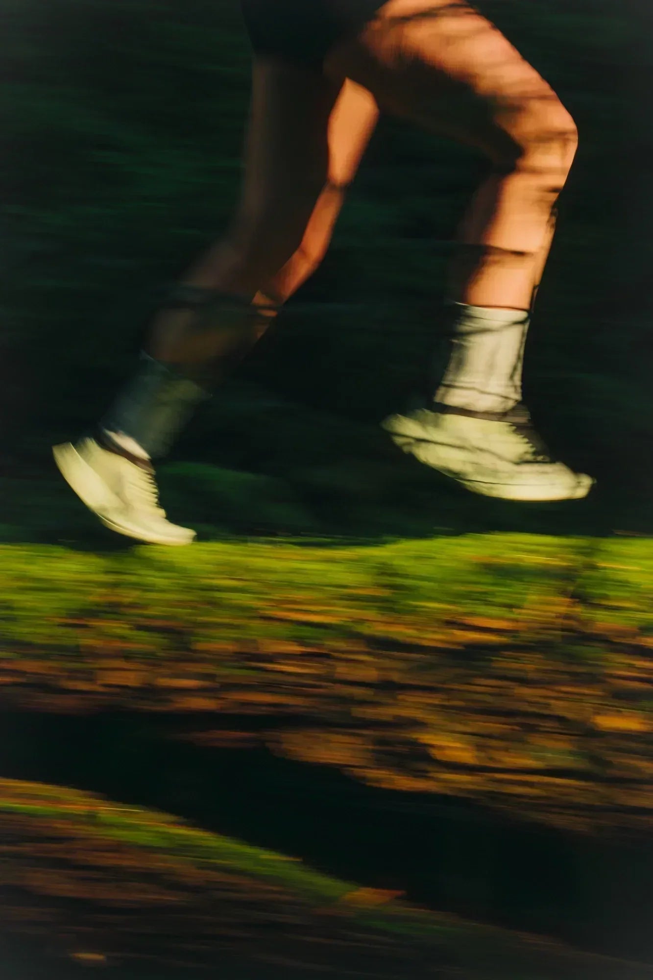 The Locals Loop w/ Arc'teryx