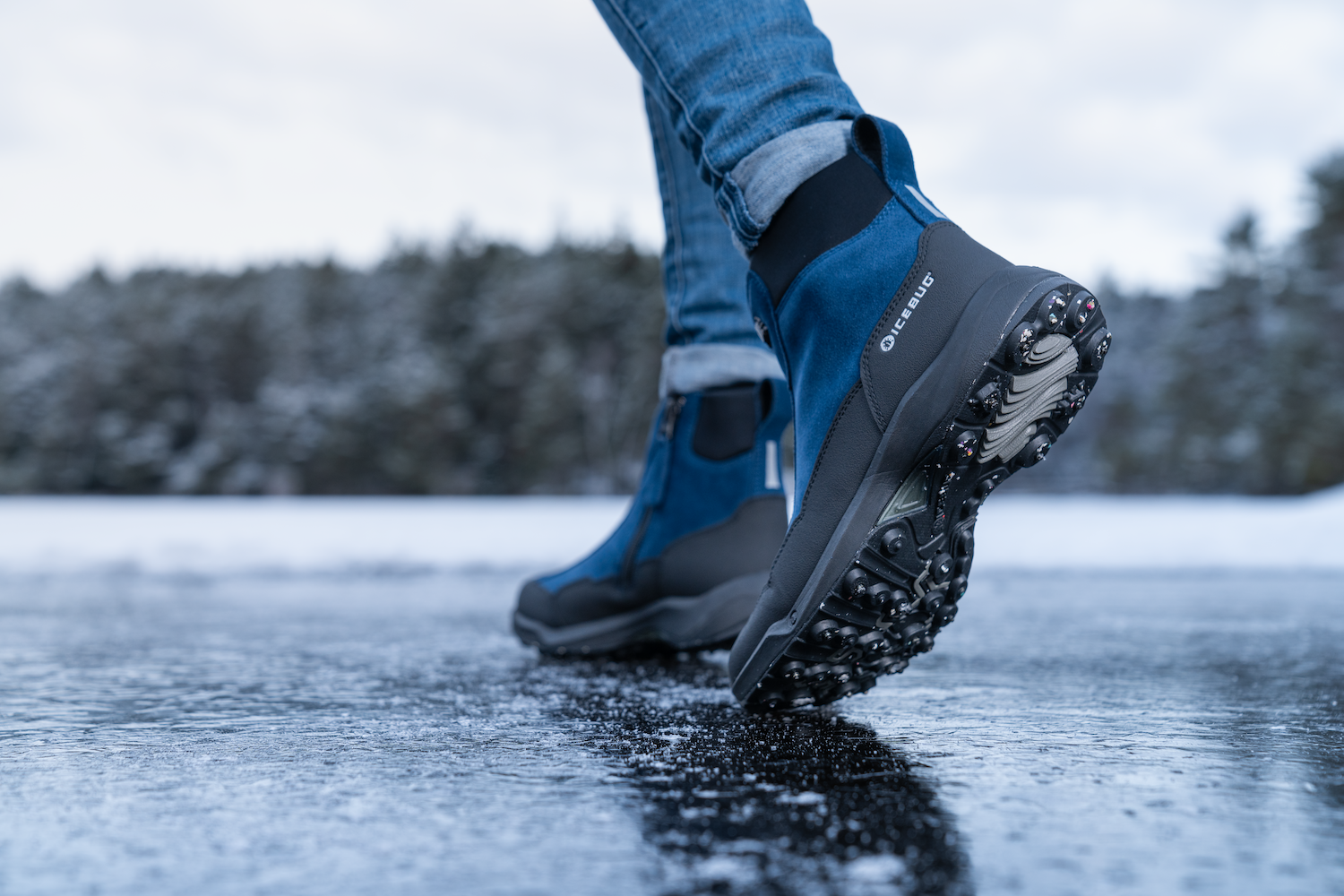 Icebug