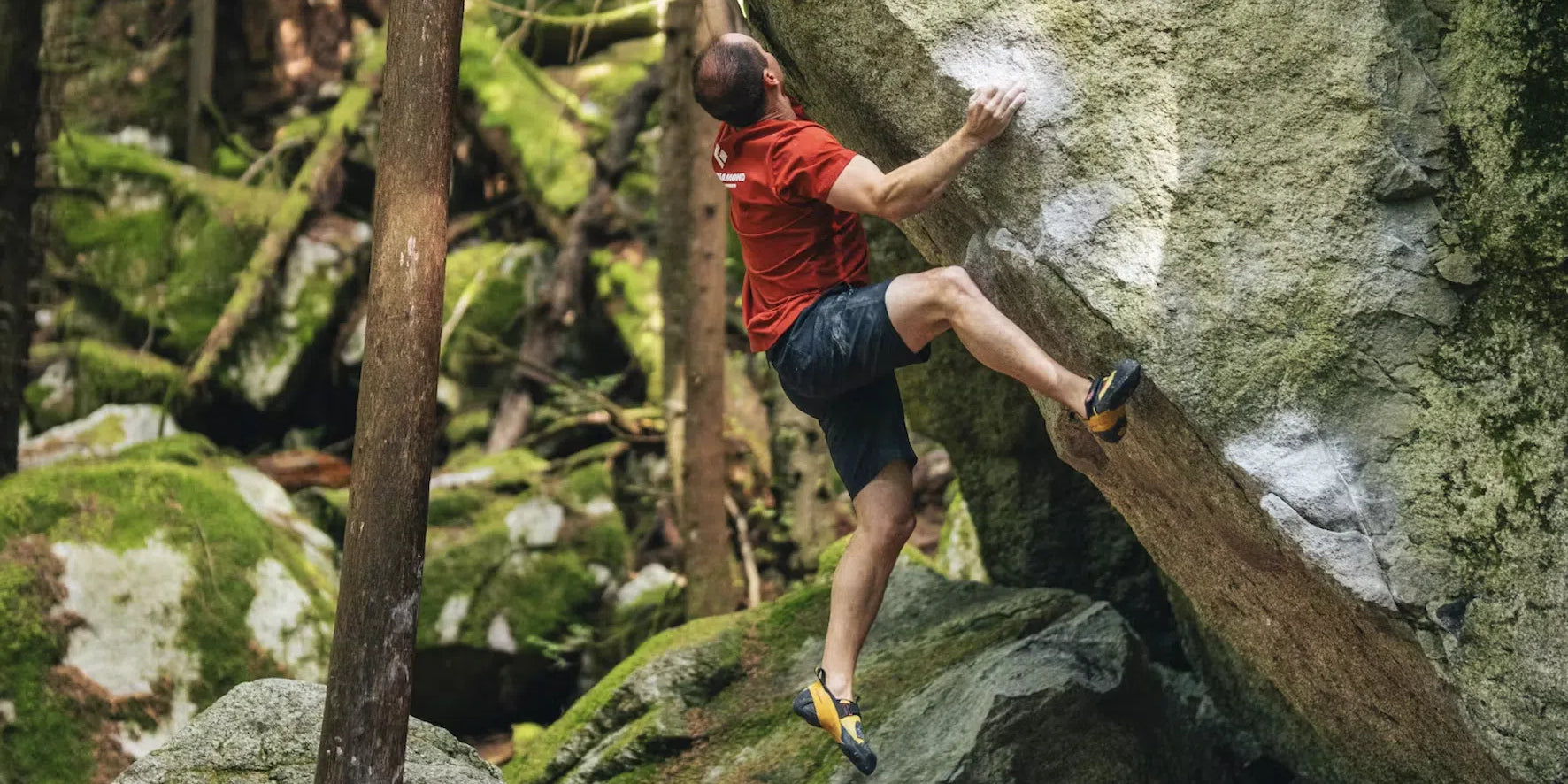 New for climb